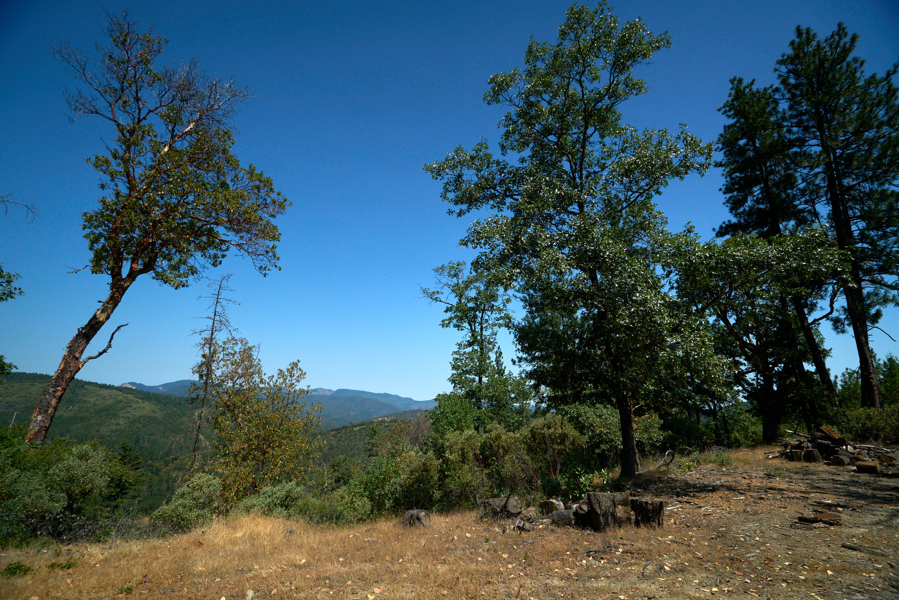 2527 Sterling Creek Road