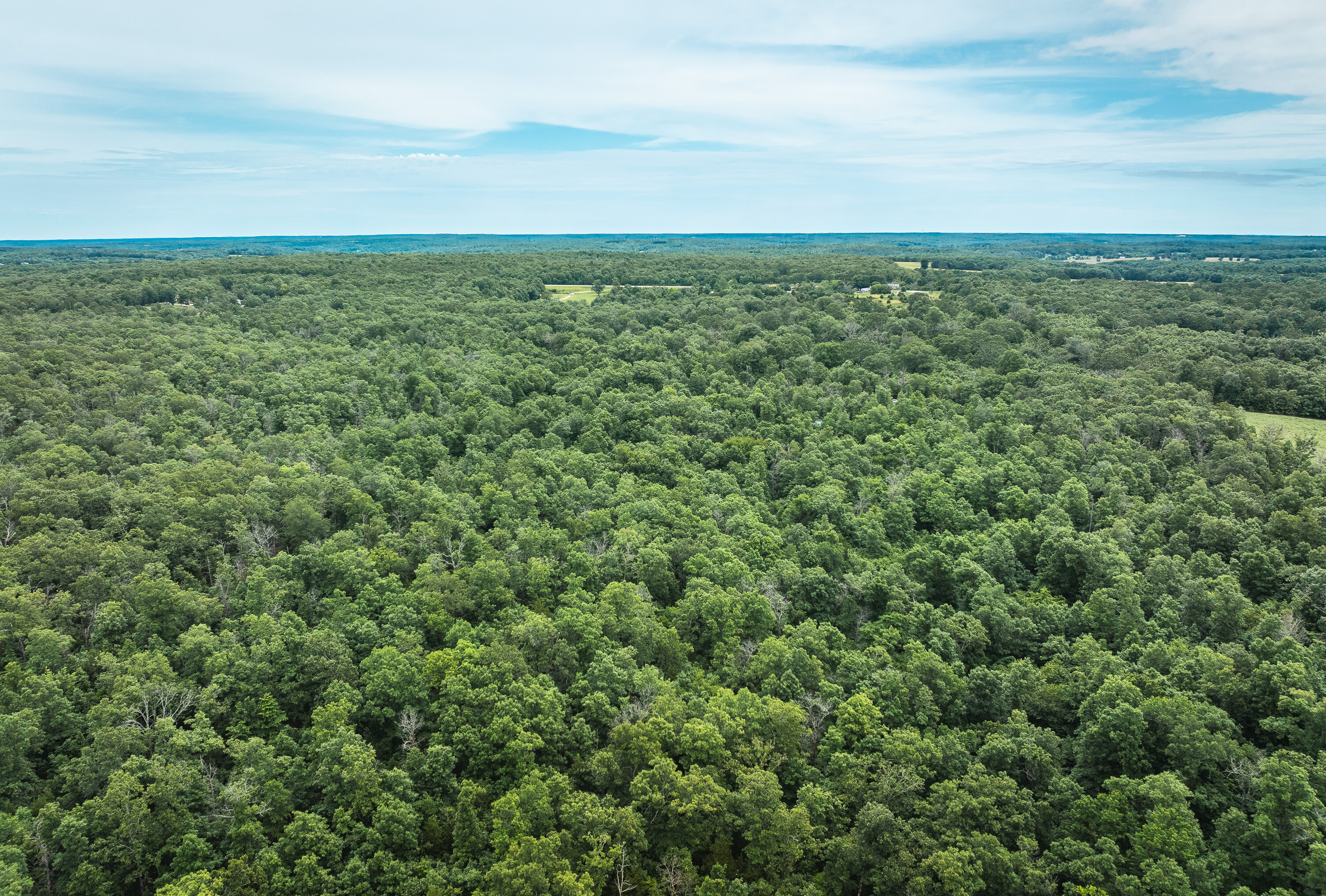 Phelps County Land & Timber 2 Tracts