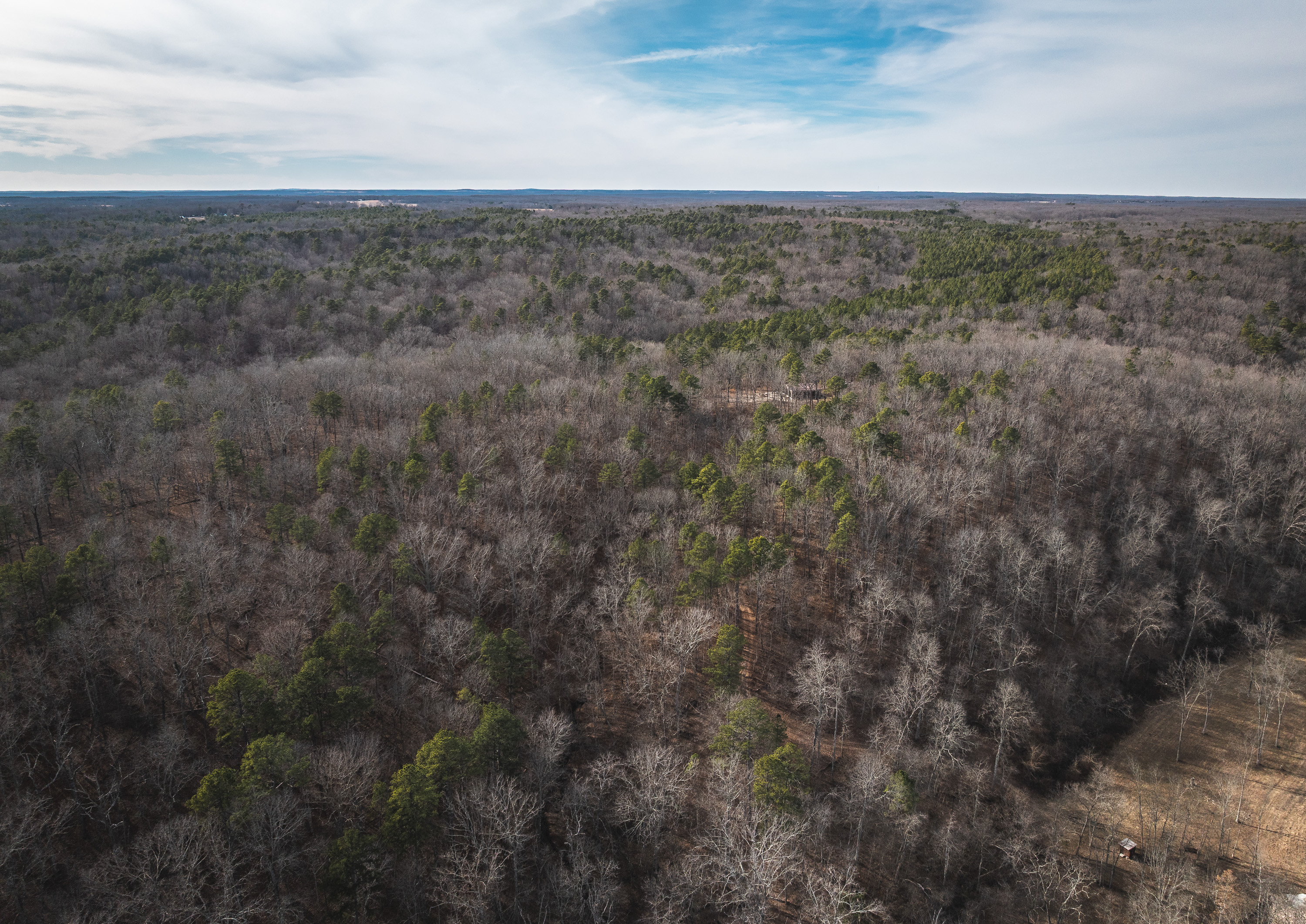 Curly Hole Camp at Peterball Spring