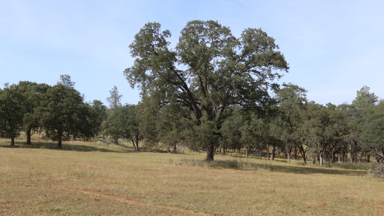 Listing Image 74