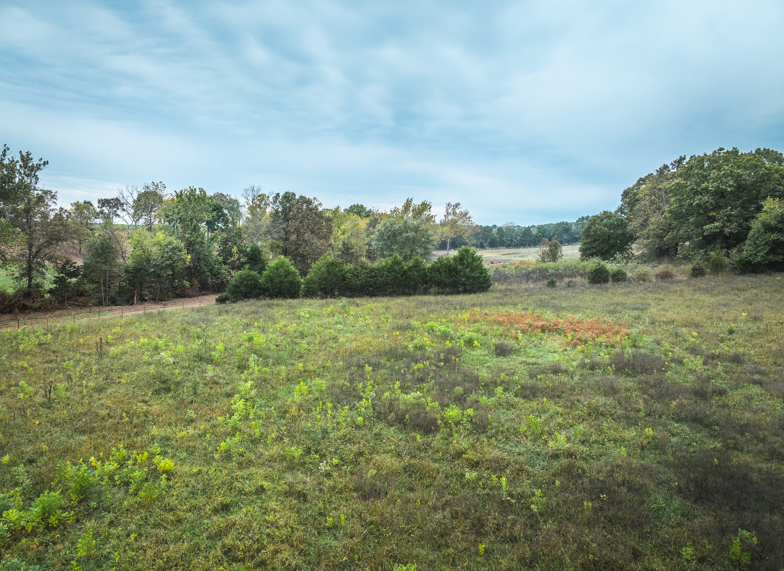 Listing Image 29