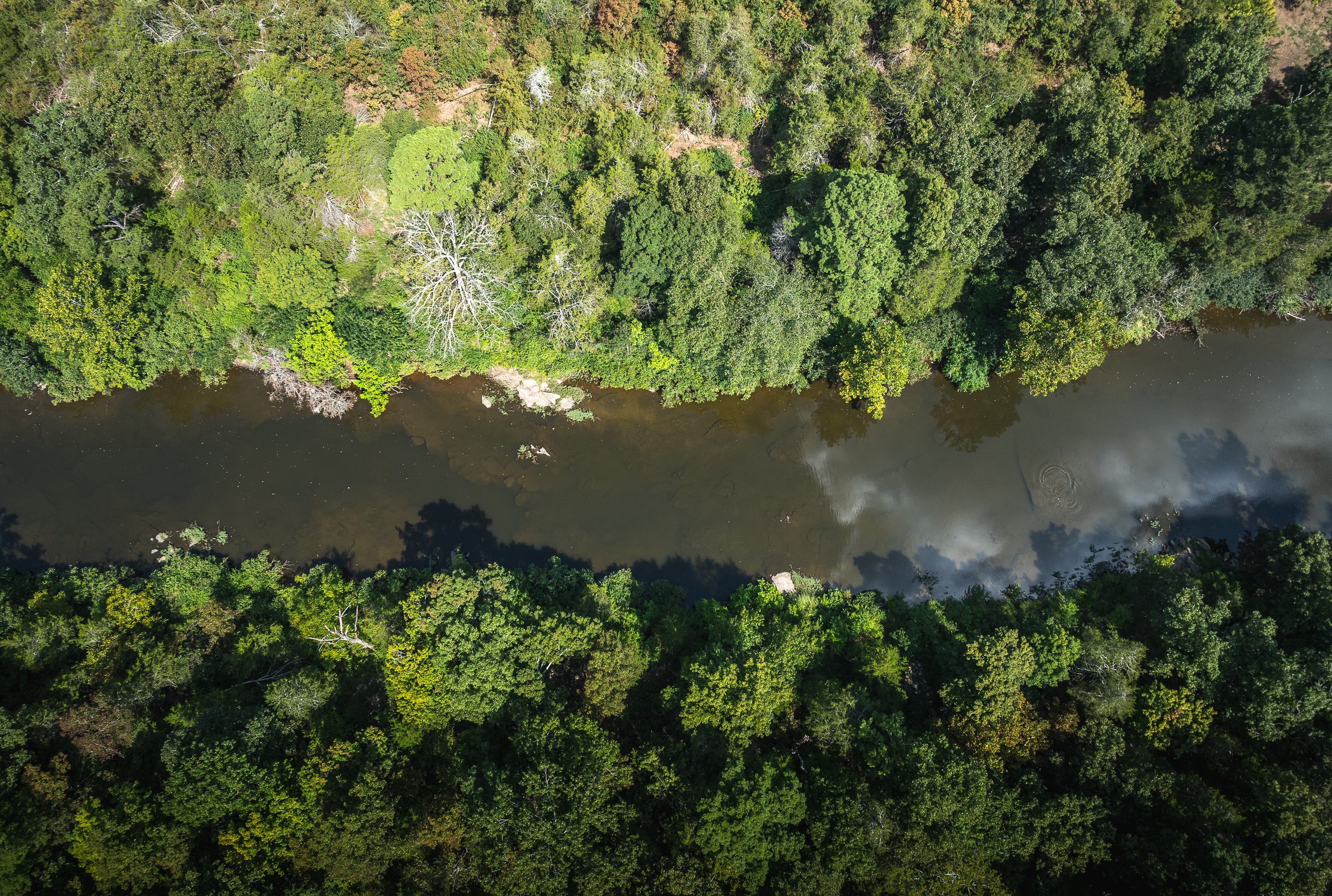 420 Acre Farm on Stouts Creek