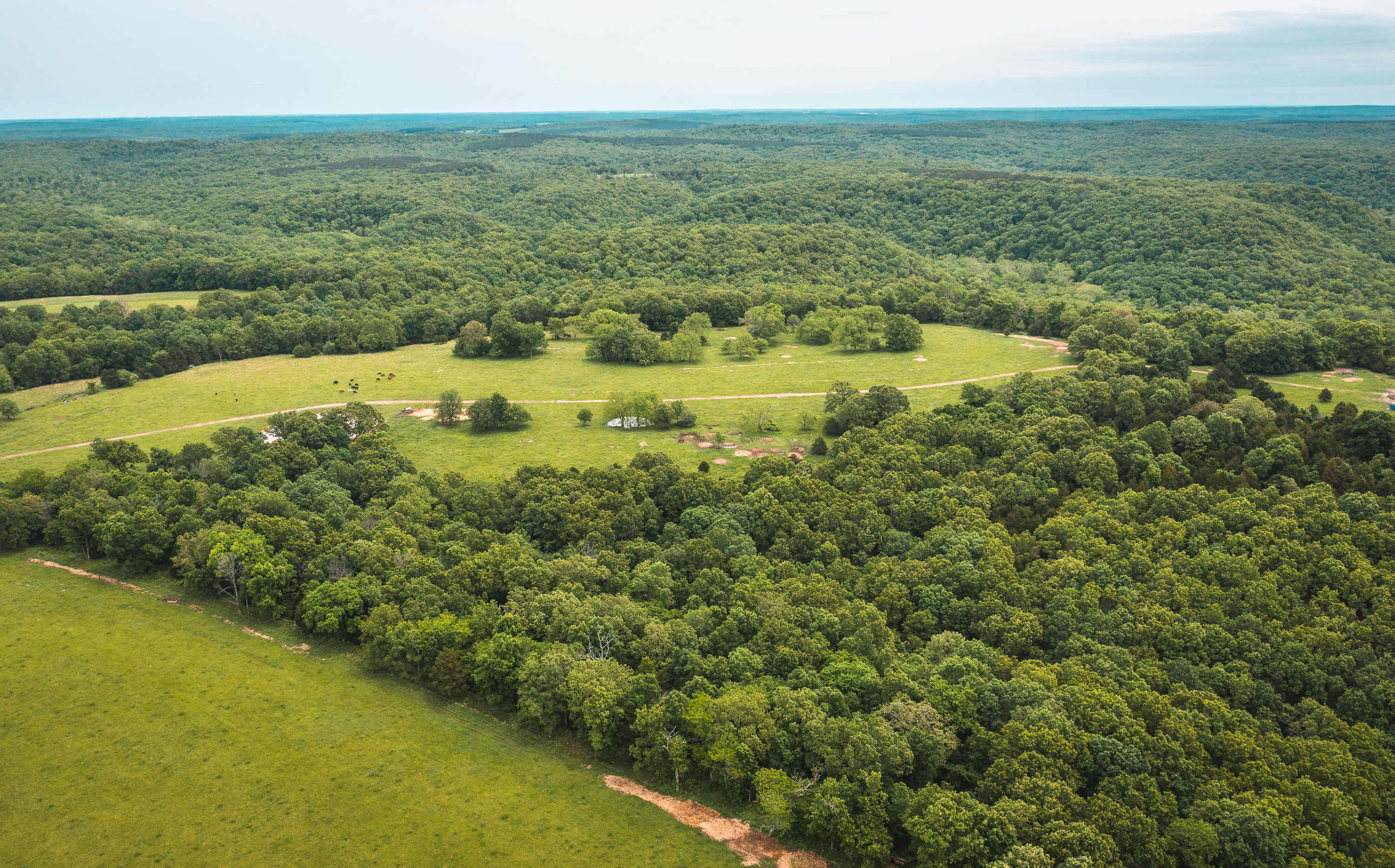 Gasconade Angus Ranch