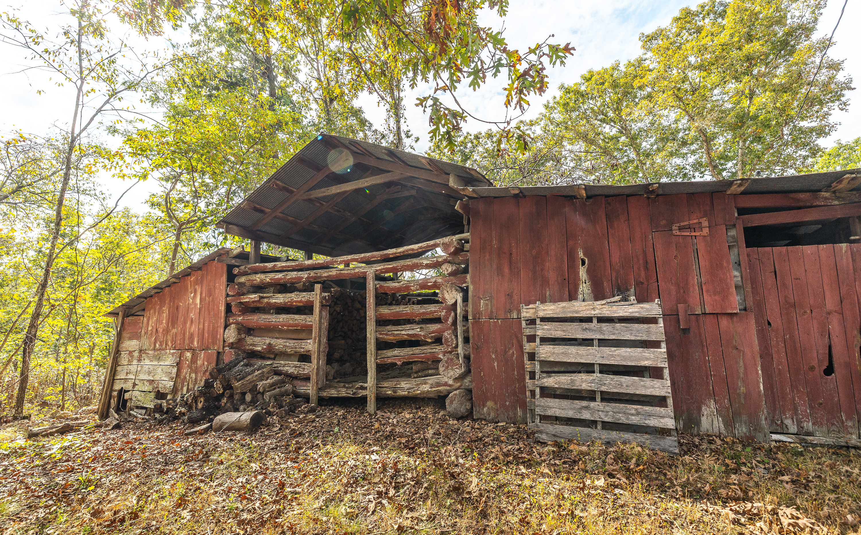Little Gladden Creek Hunter