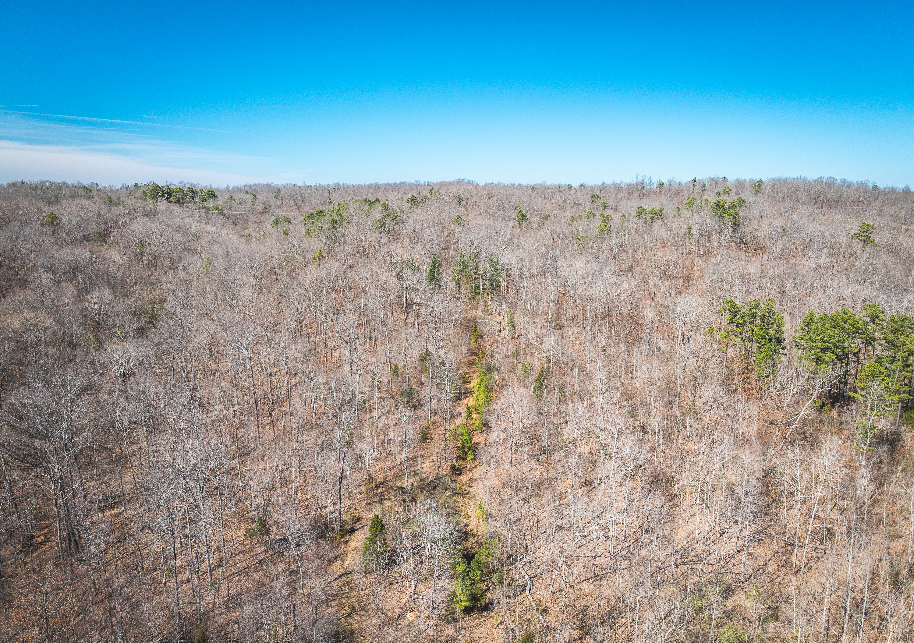 58 Acre Wildlife Retreat