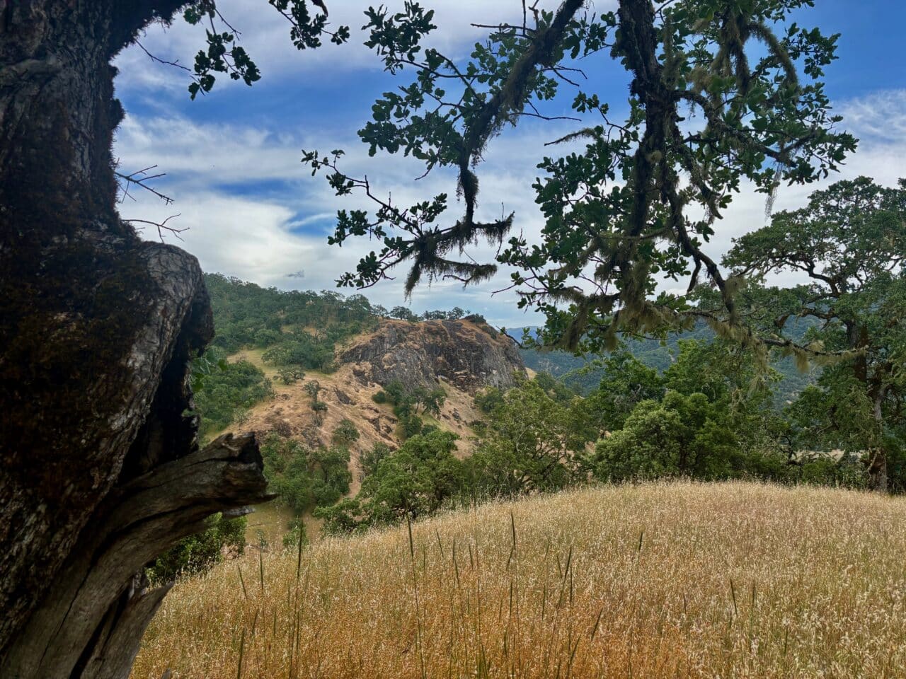 McNab Crag Ranch
