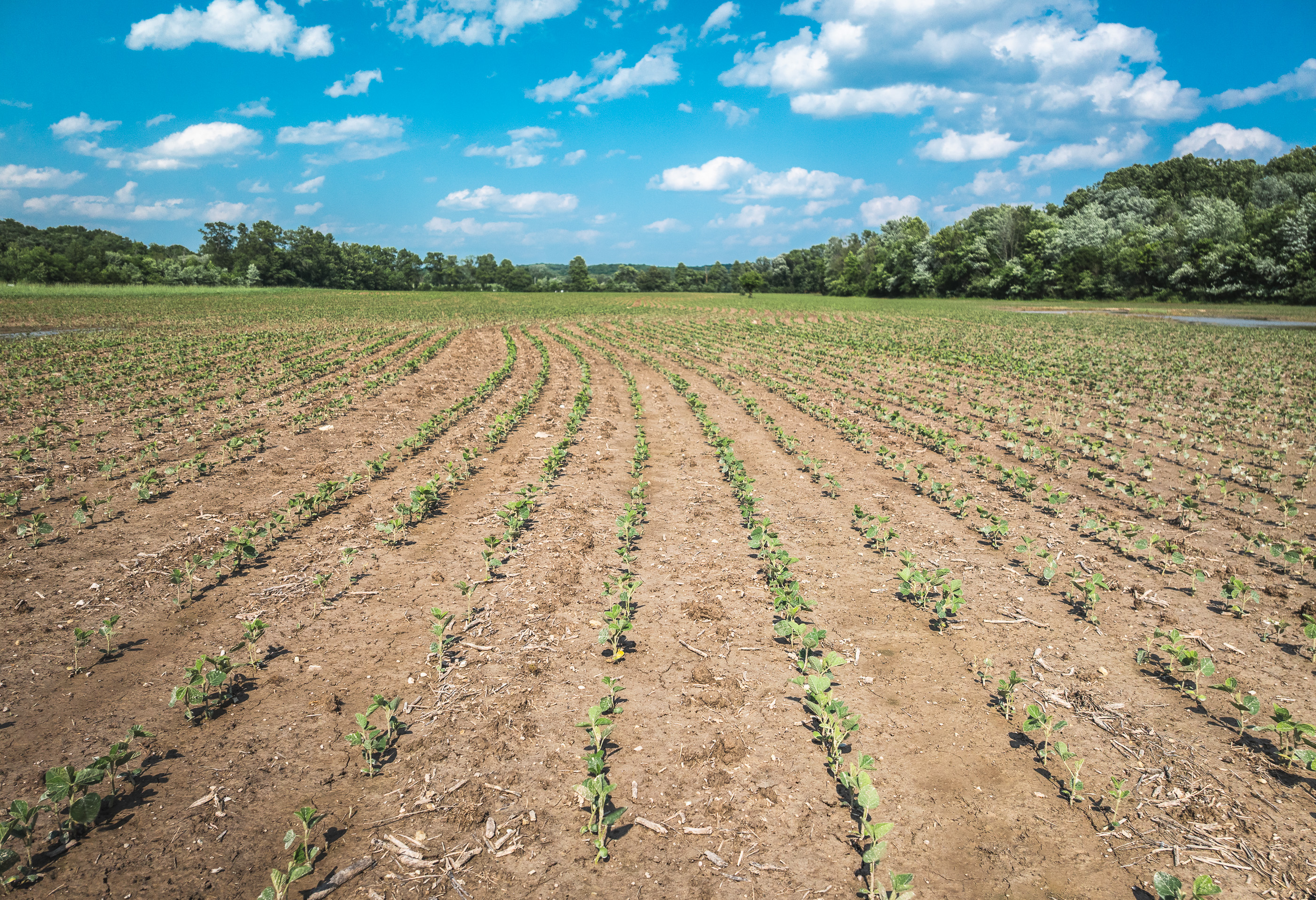 Union Runway Tract D