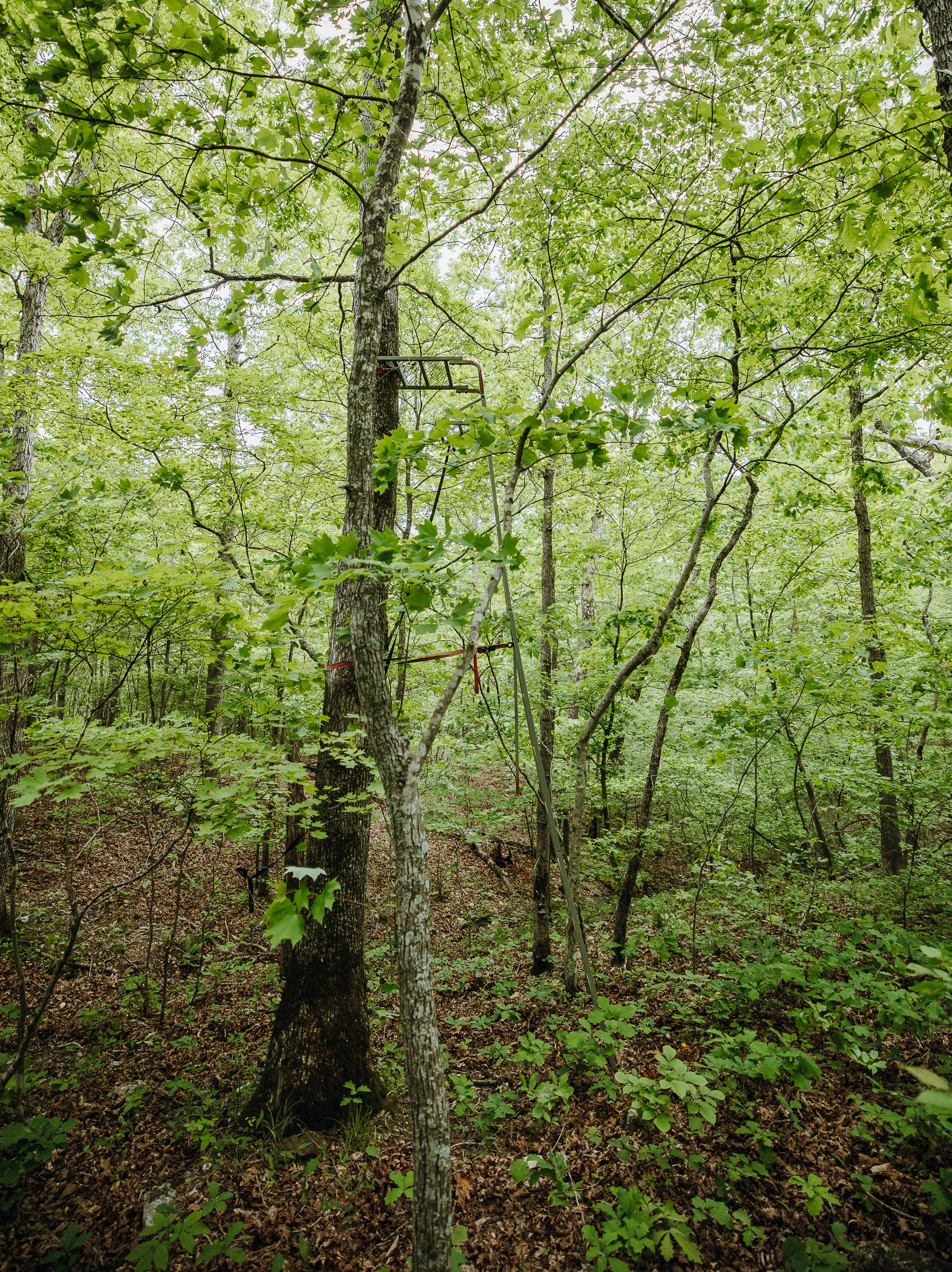Waters Edge on the Gasconade River Tract 1