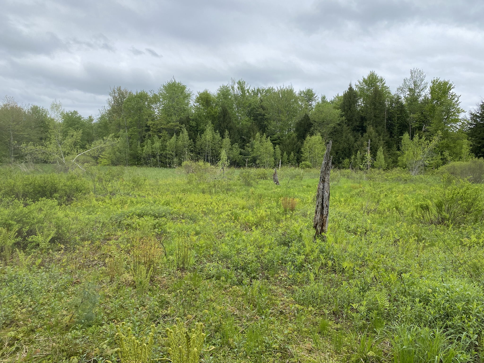 Little Salmon River Country