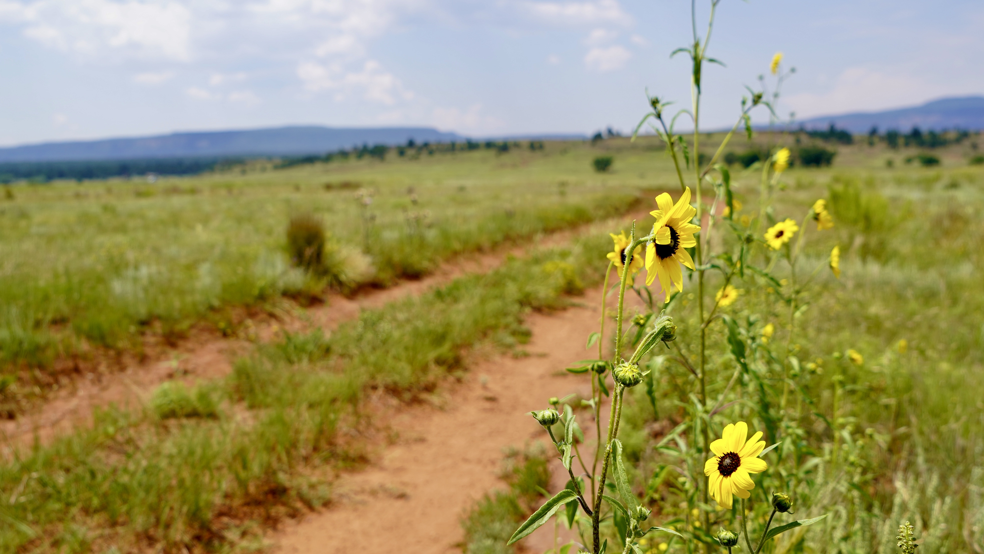 OLC Ranch