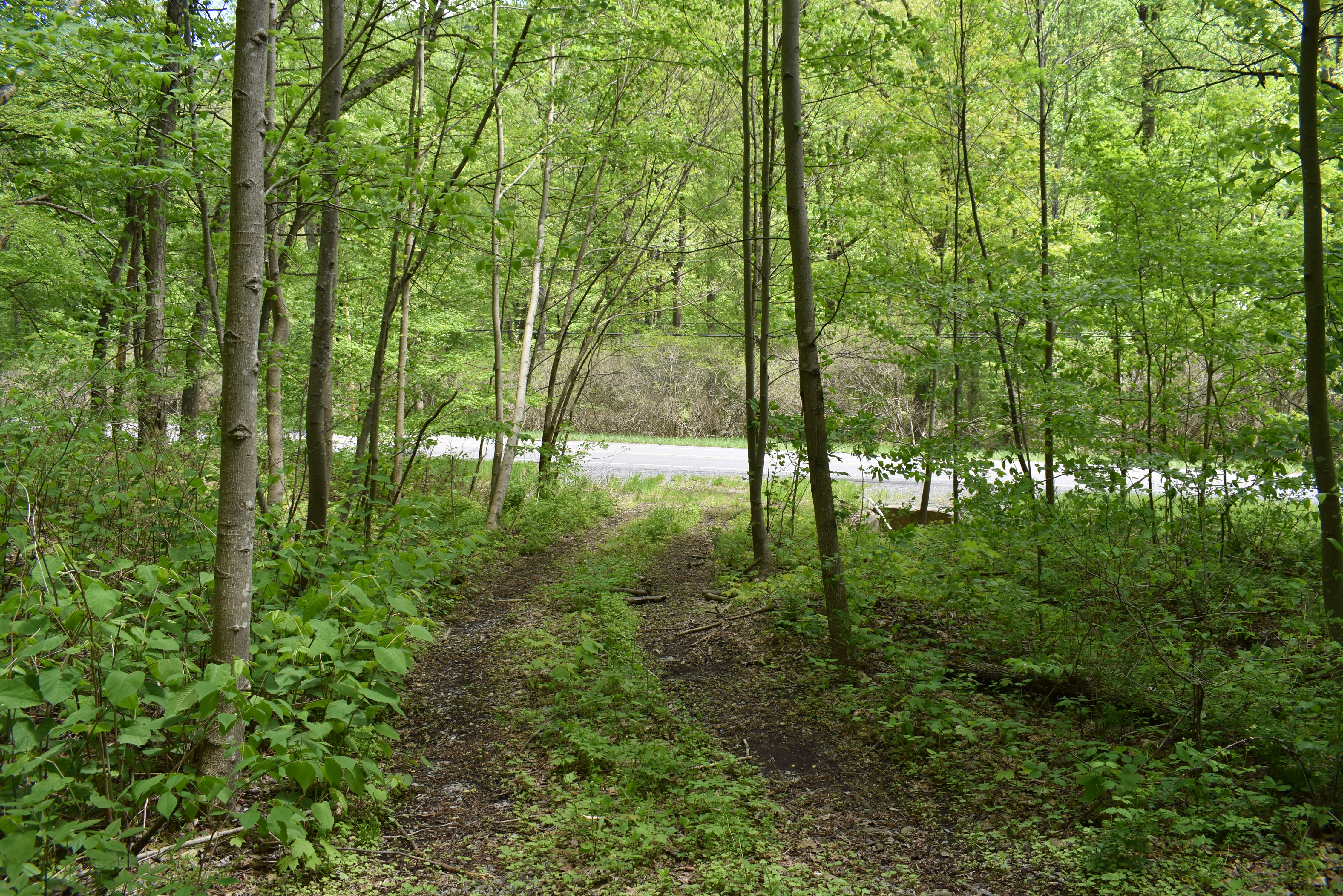 Grugan Hollow