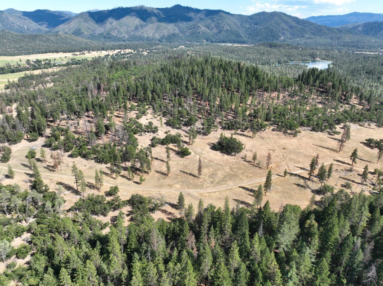 240 Acres Hayfork