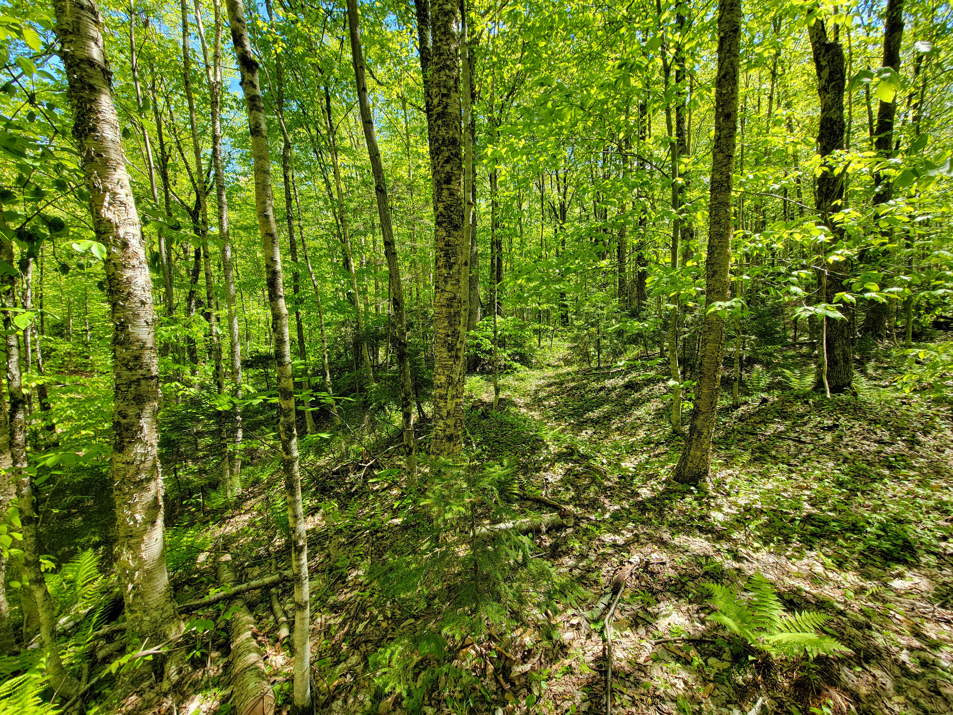 925 Hathaway Rd - Goshen