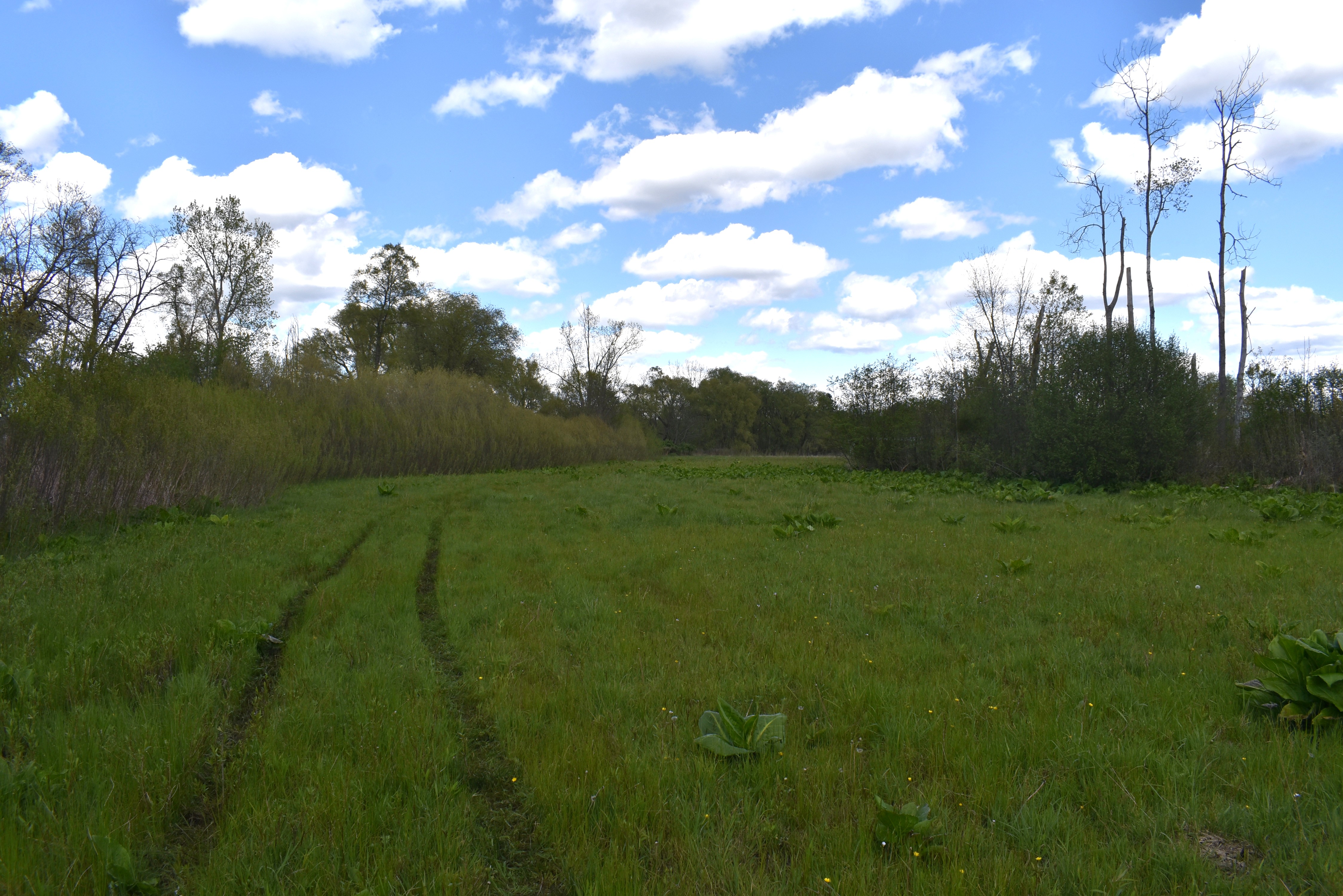 Listing Image 36