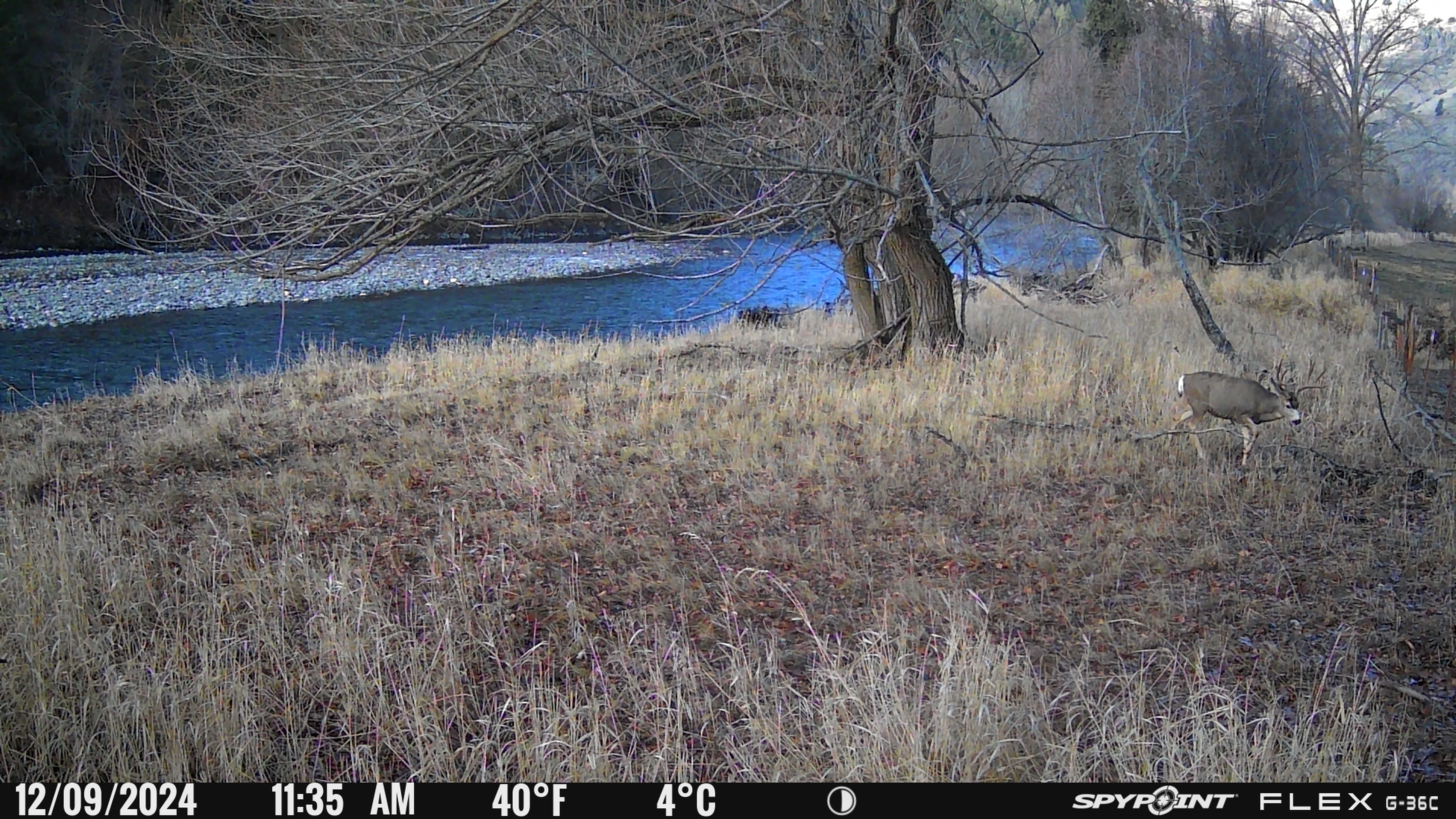 Listing Image 31