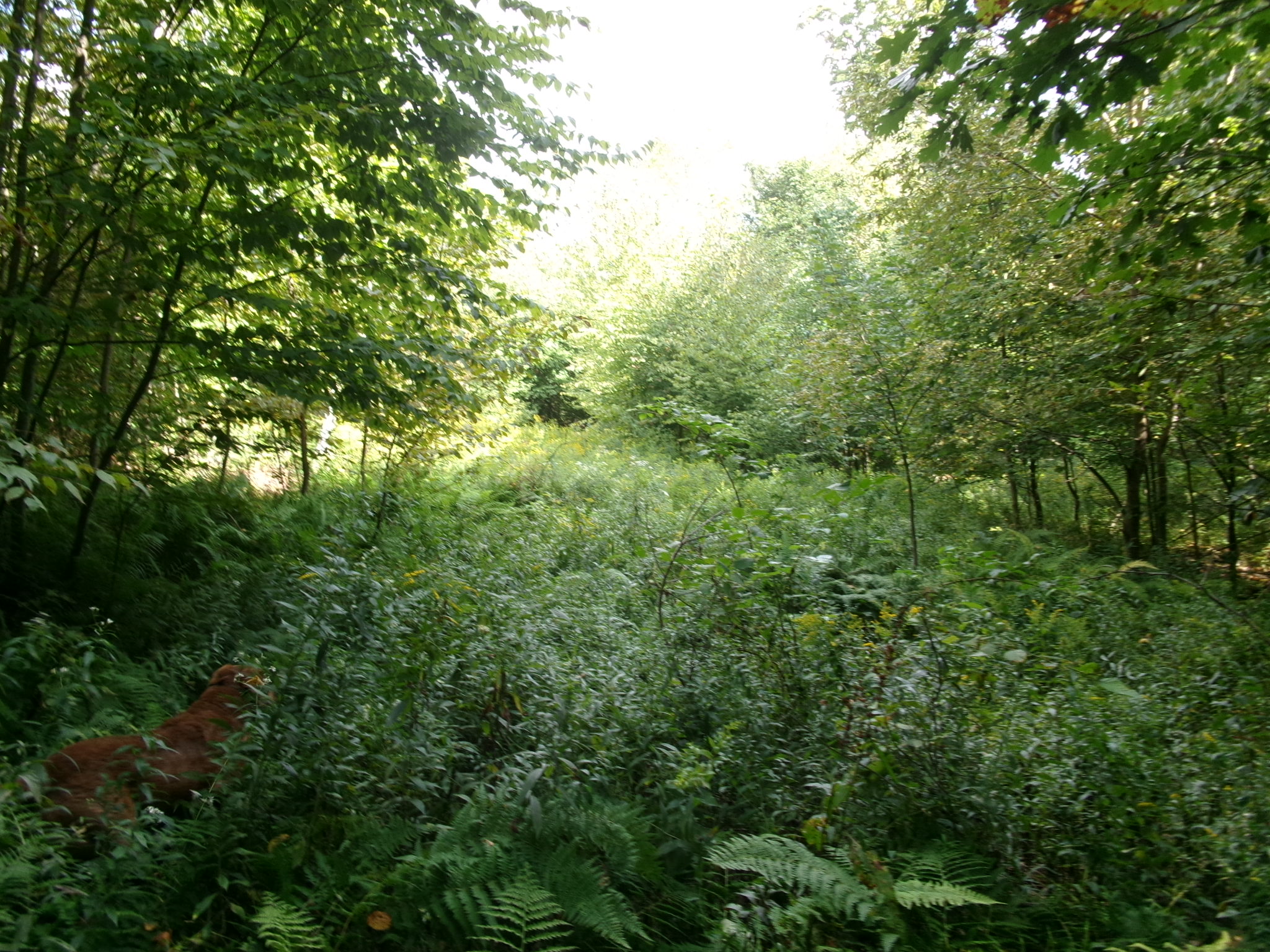 Listing Image 17