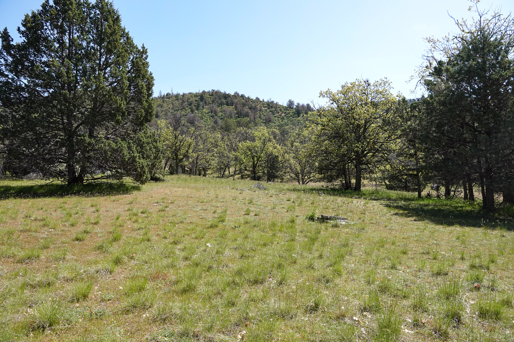 Scarface Acreage