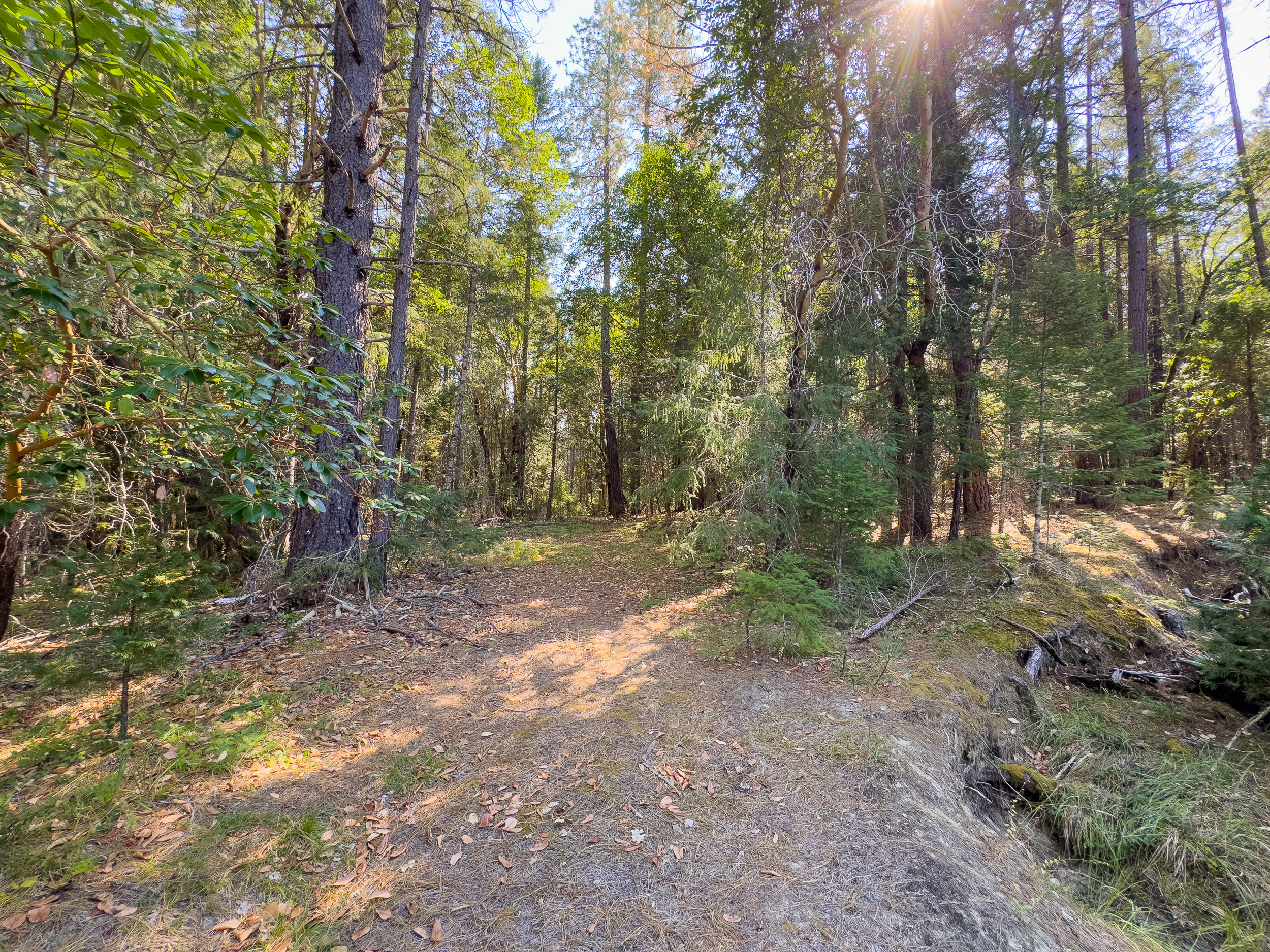 Pleasant Creek Road TL301