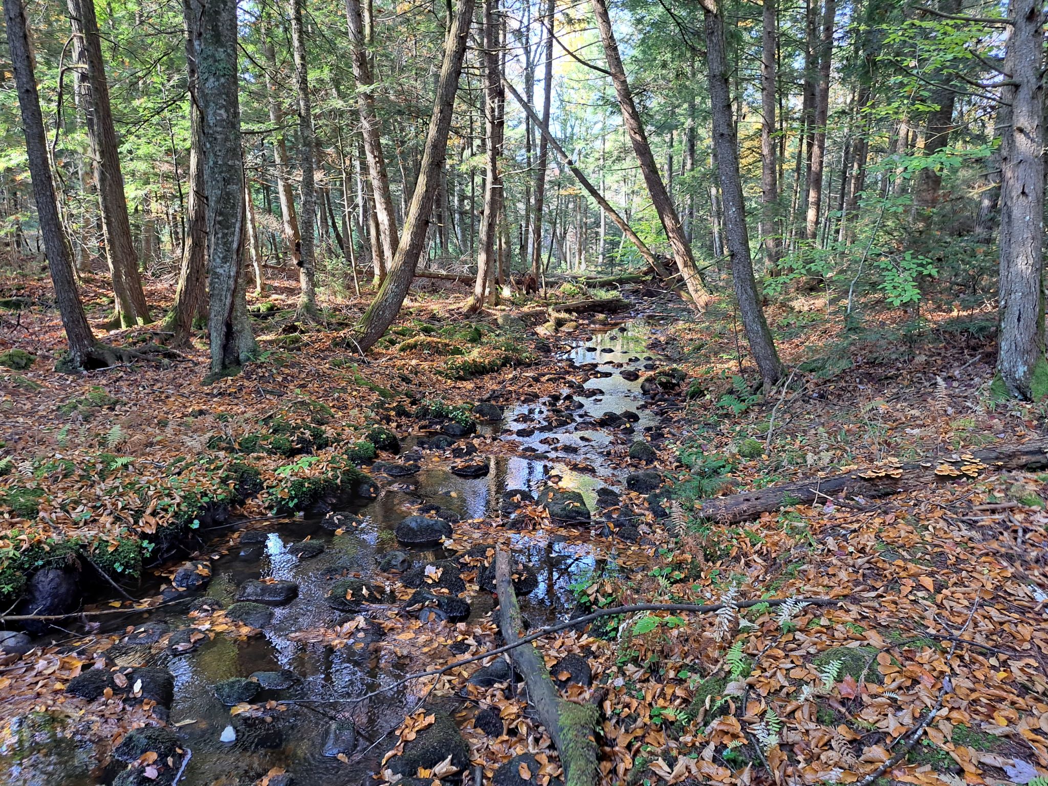 Listing Image 48