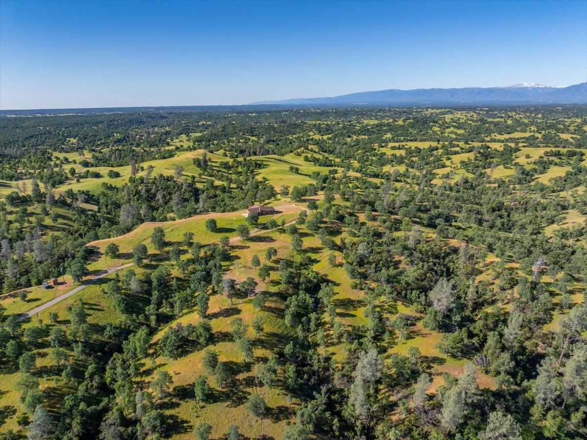 Davis Ranch Road