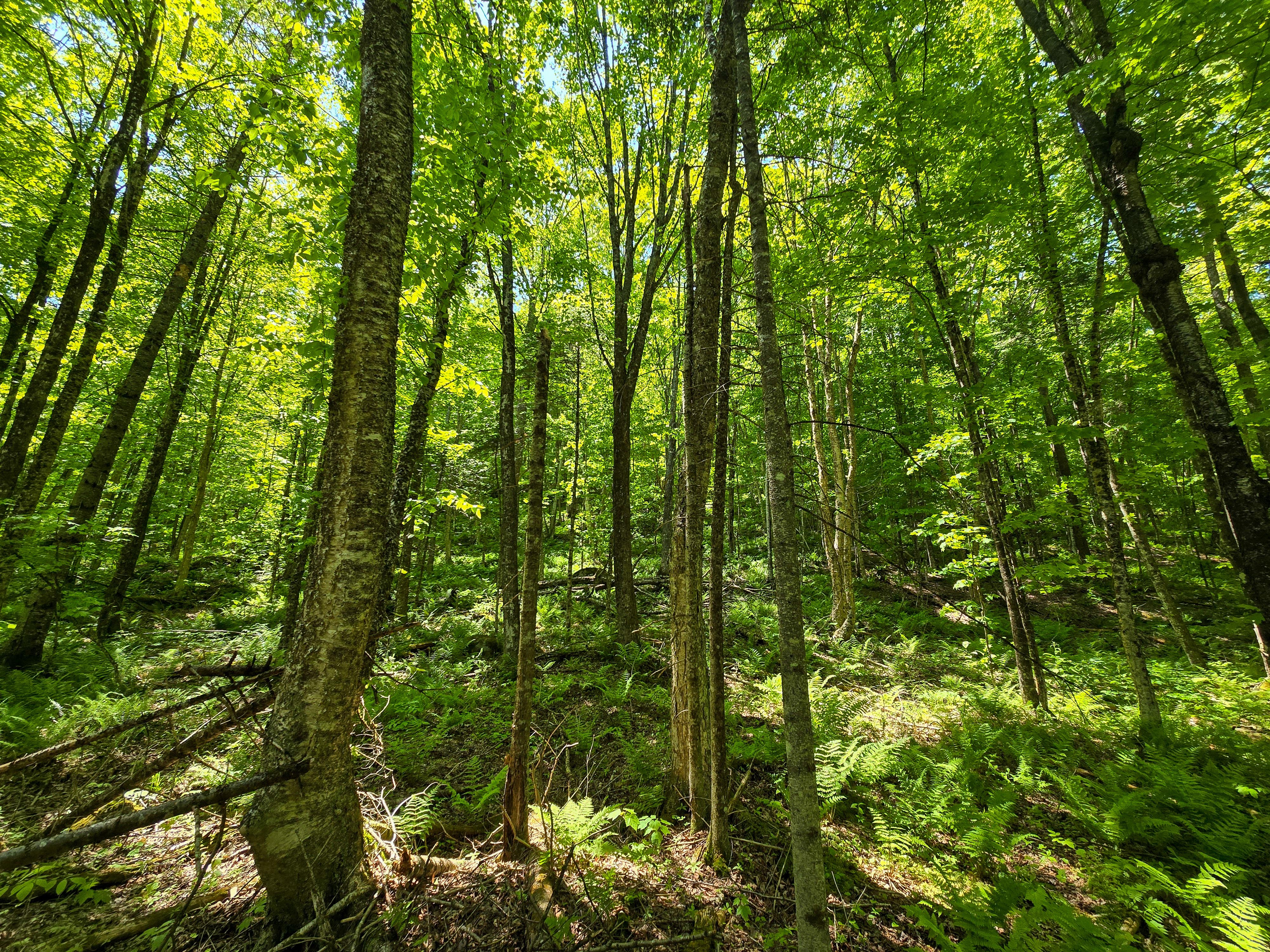 150 Spur Rd - Bloomfield