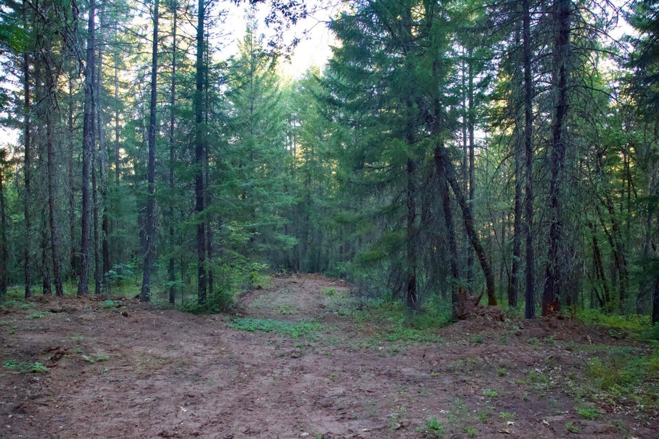 Listing Image 21