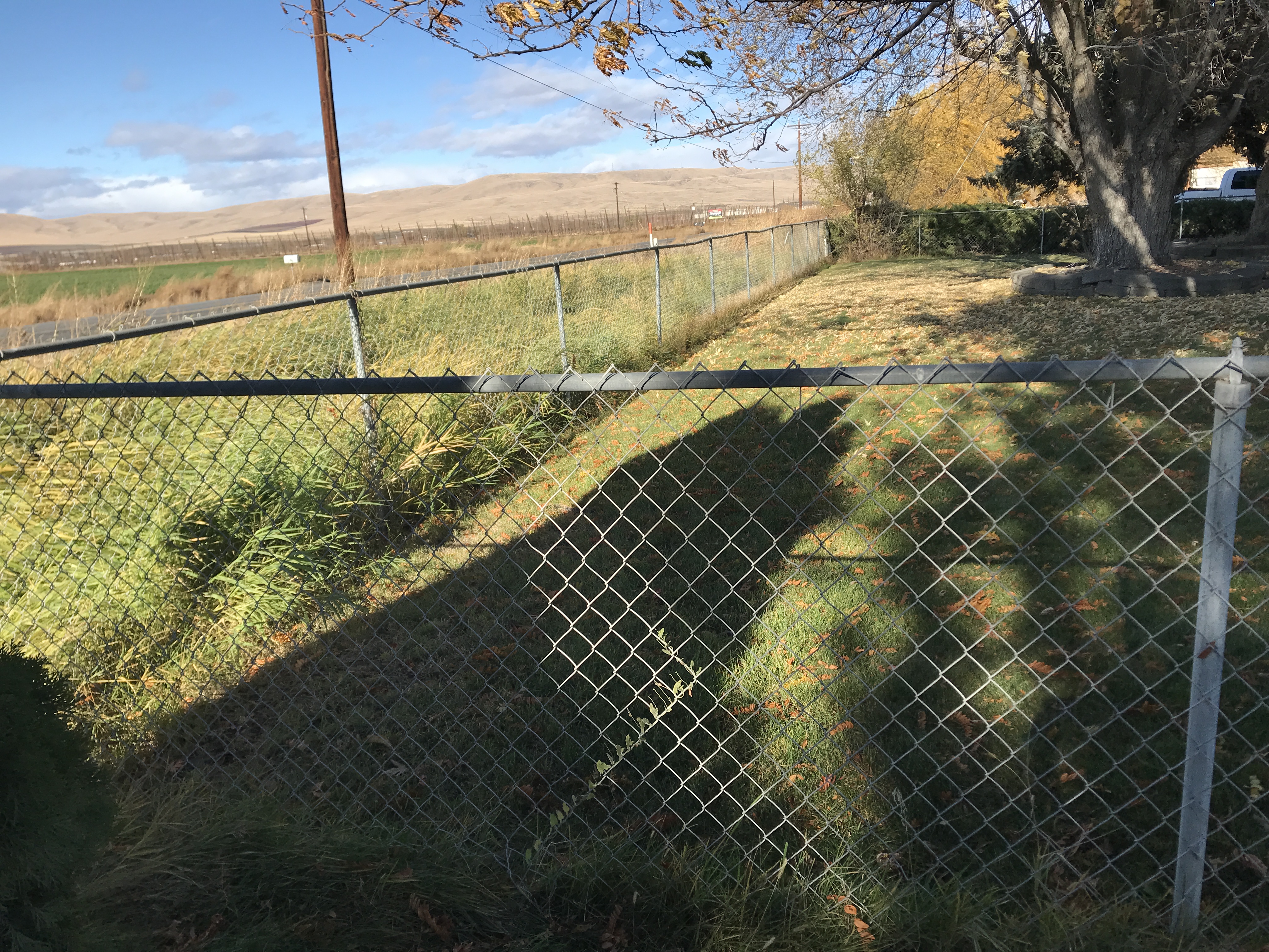 Apple Orchard w Equipment, House and Shops!