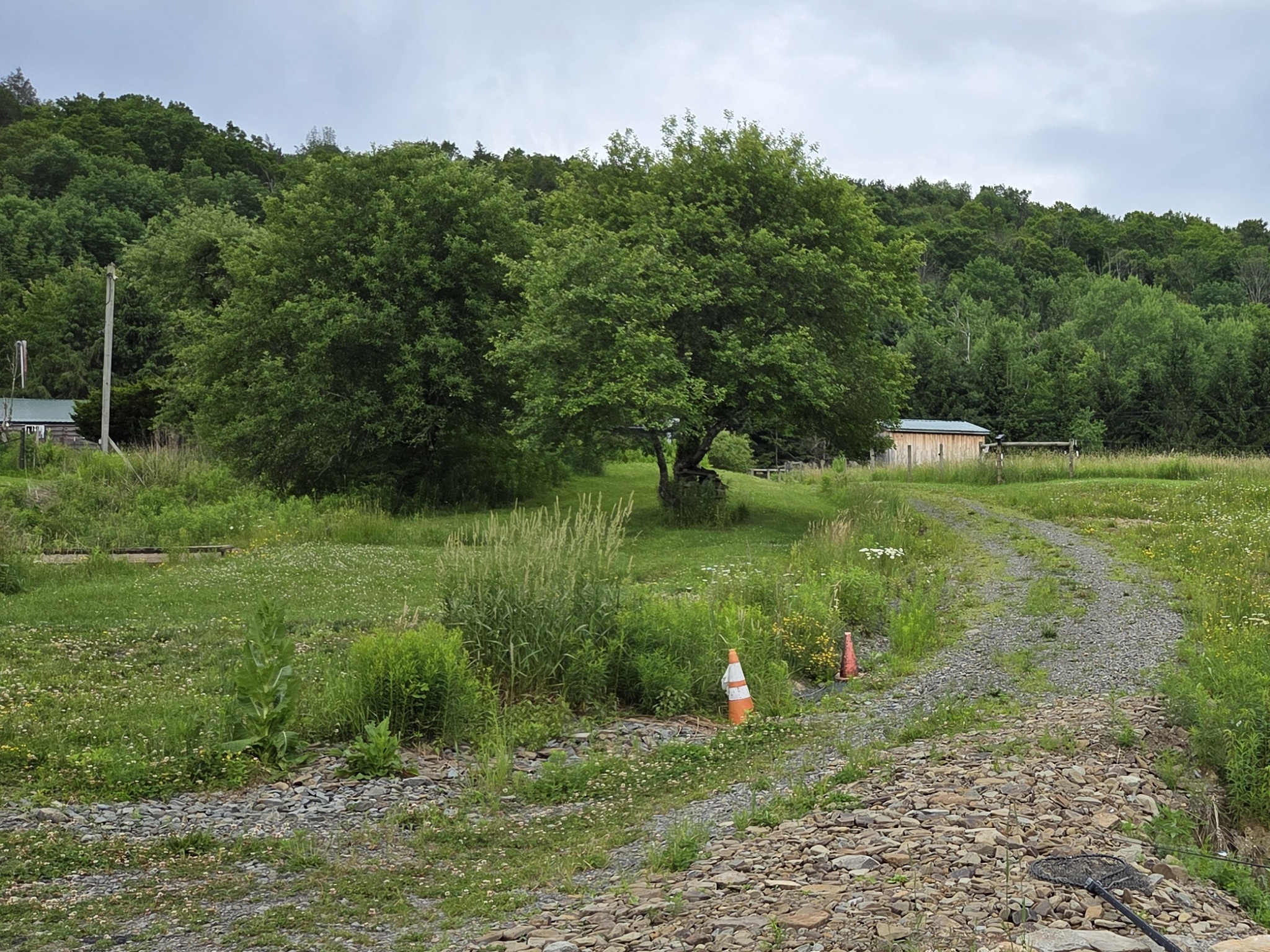 Listing Image 52