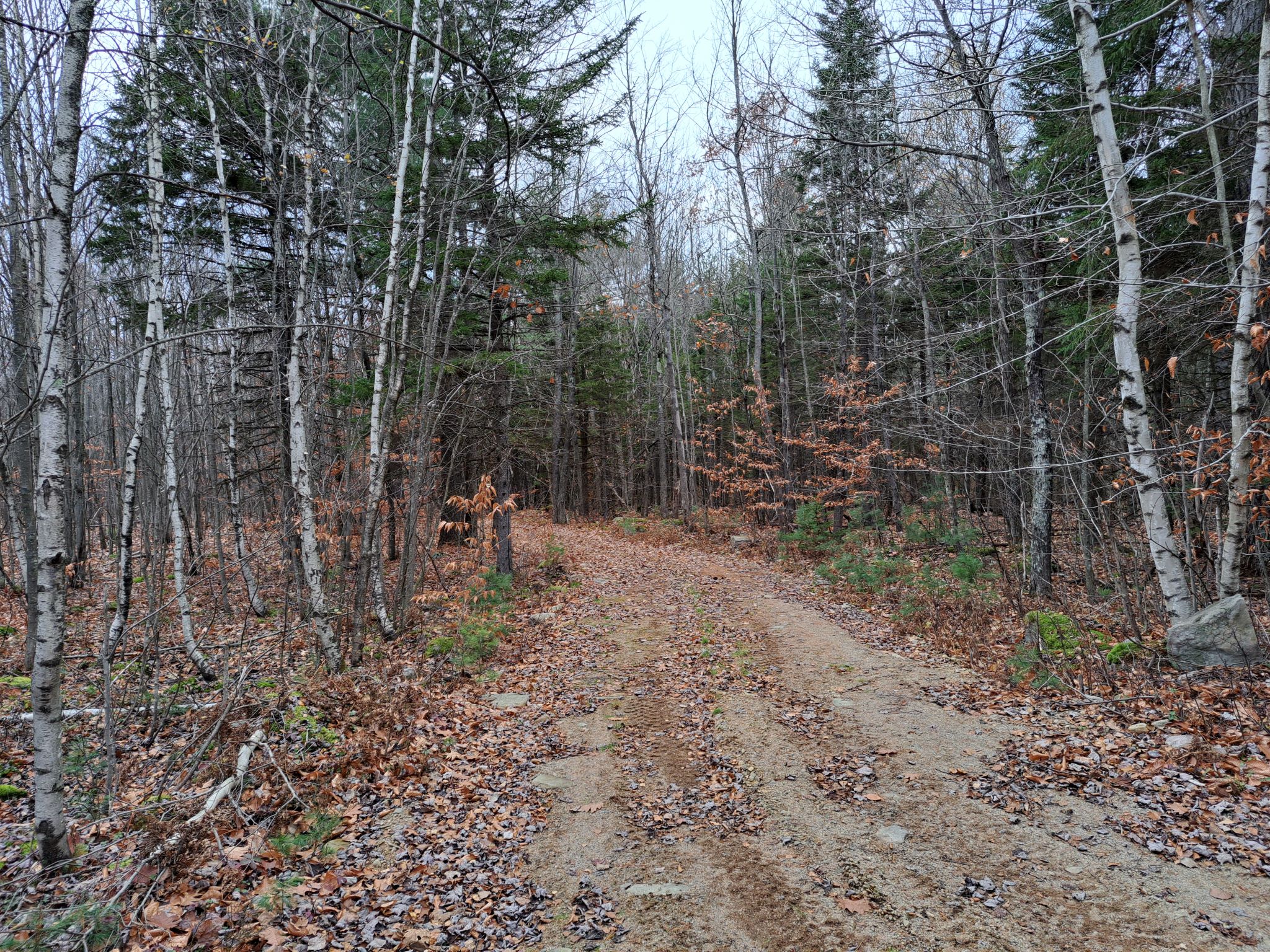 Listing Image 45