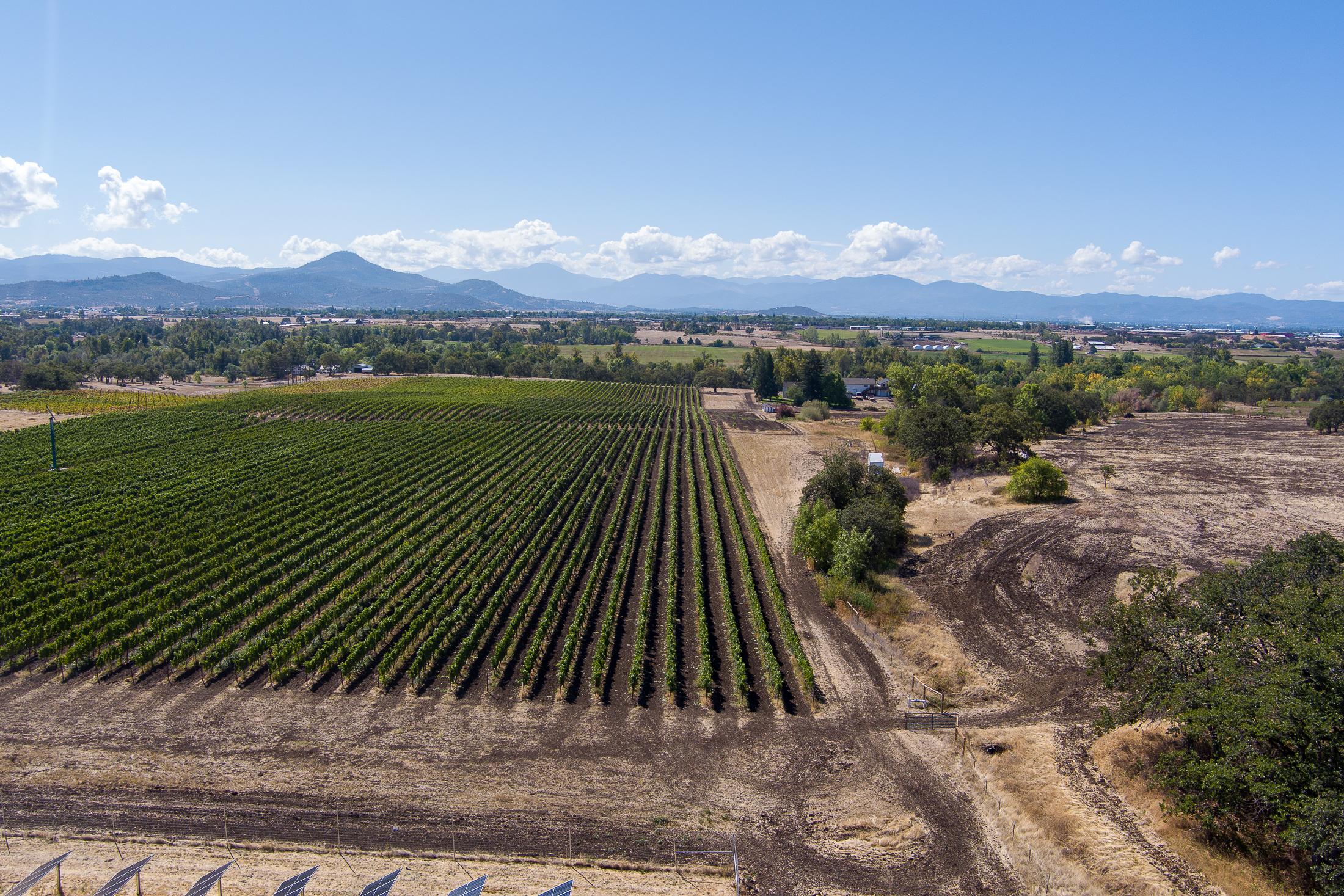 Listing Image 87