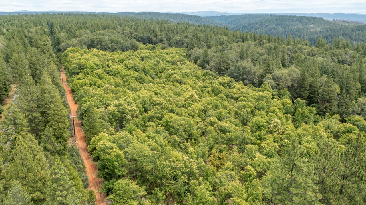 Foresthill Divide