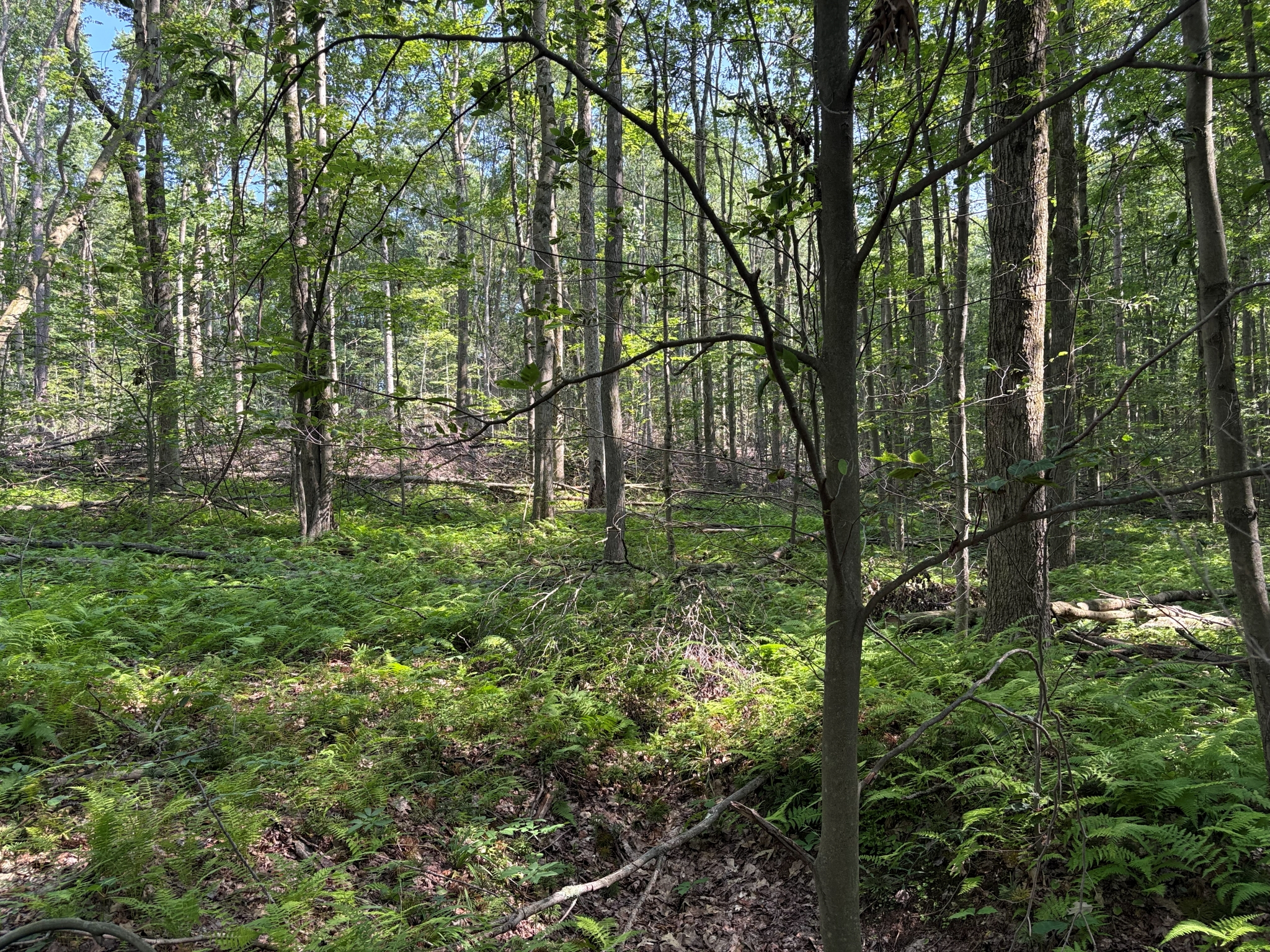 Listing Image 25