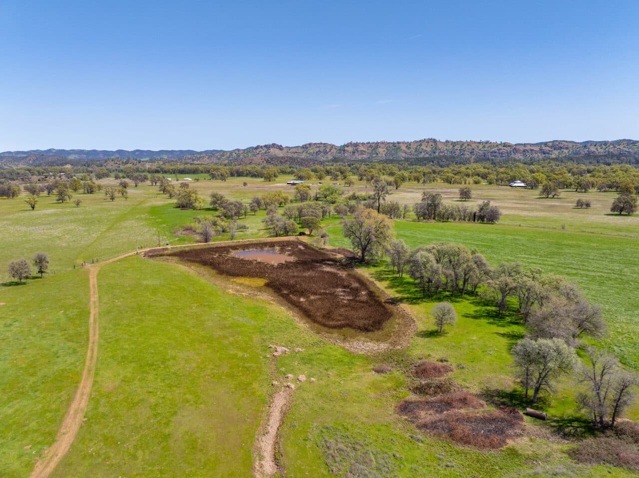 Listing Image 64