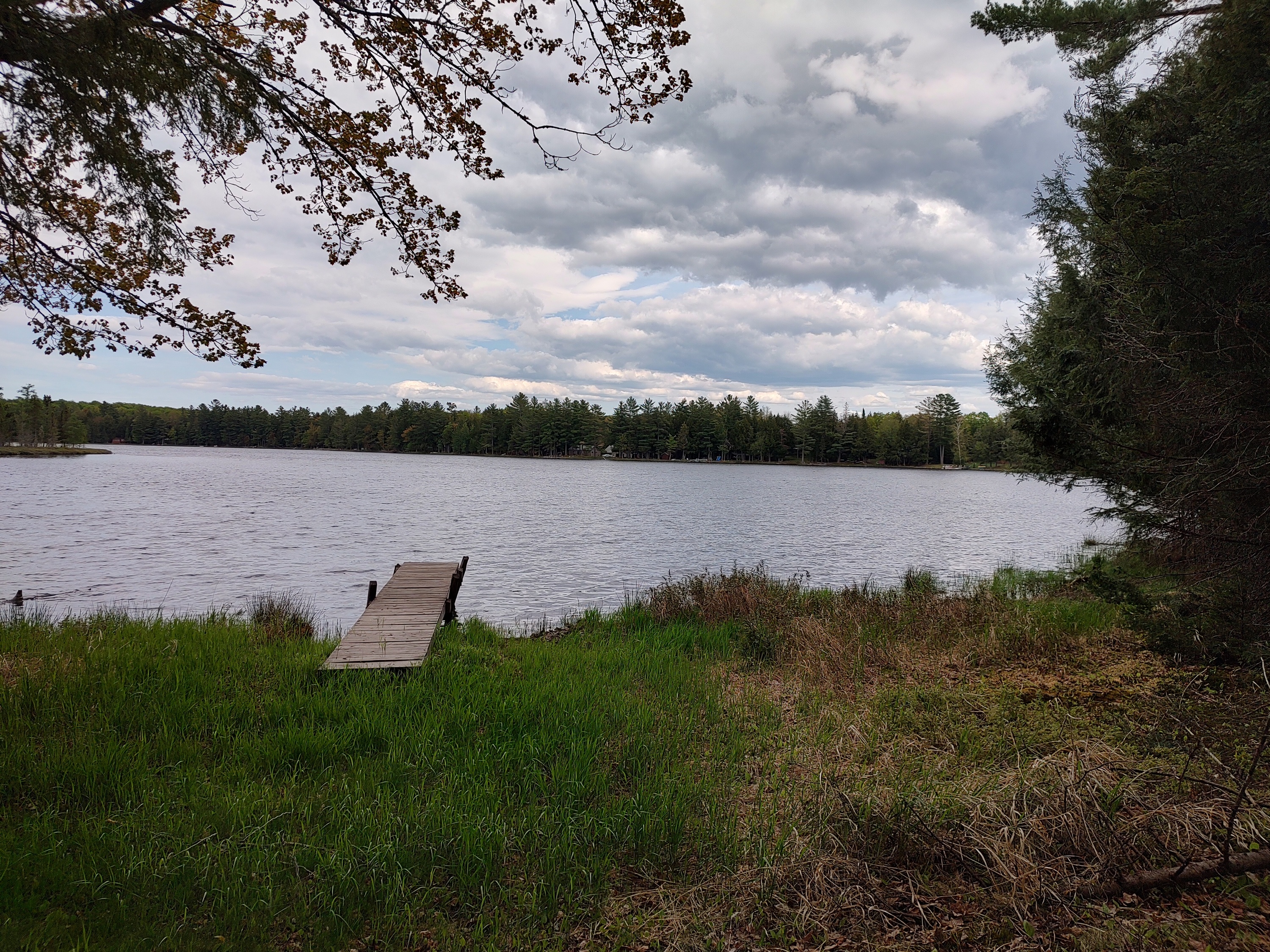 U.P. Robinson Lake Parcel 50167828