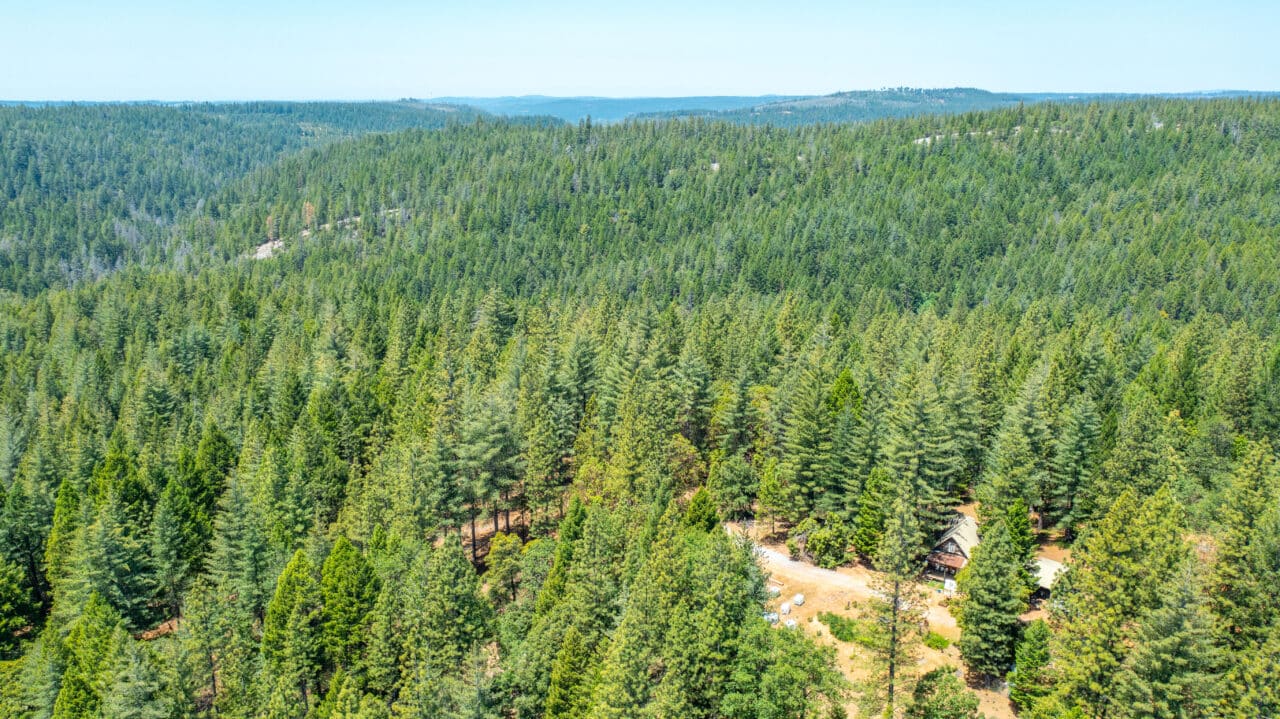 Otter Creek Cabin