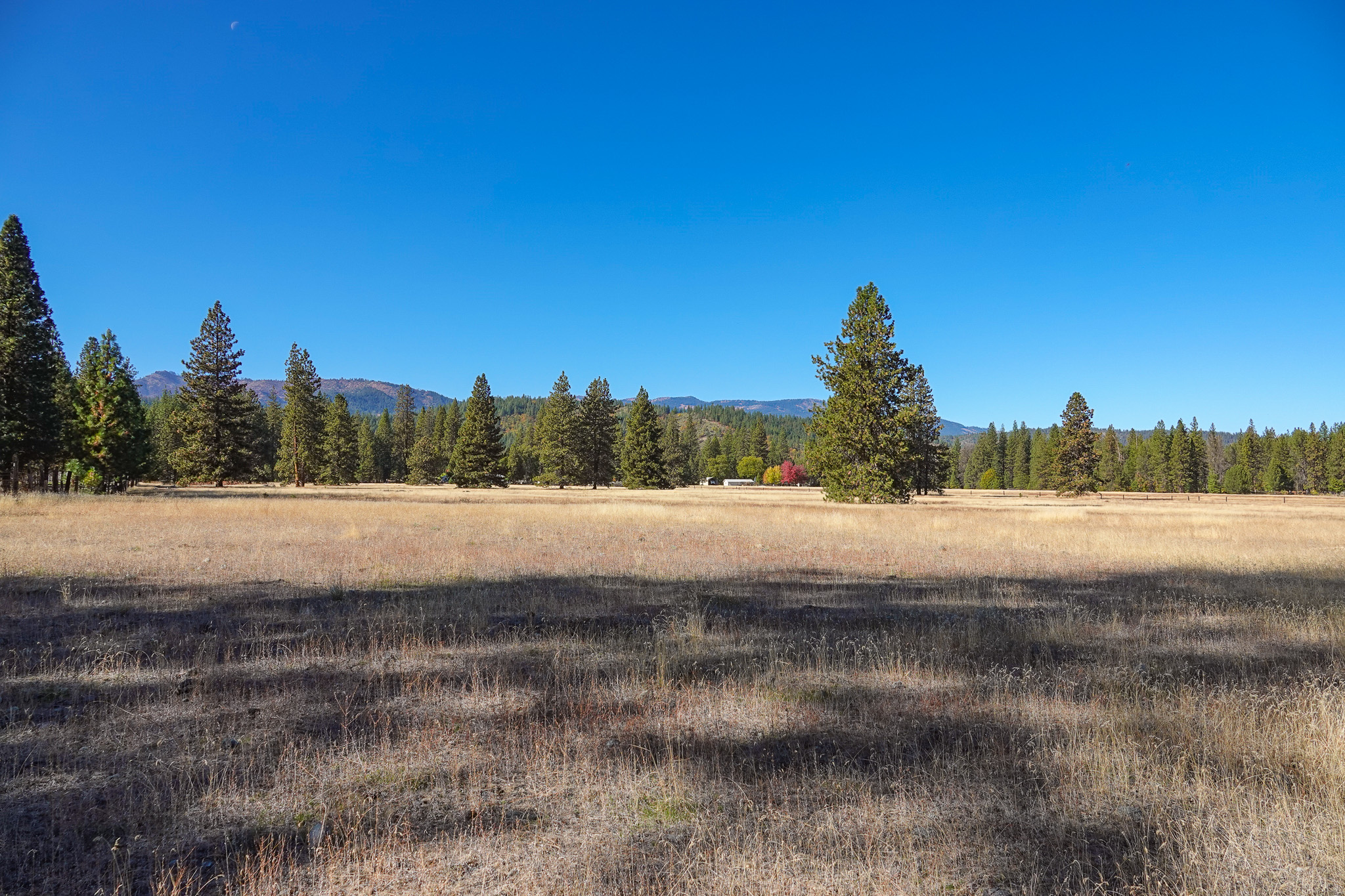 Mountain View Meadow