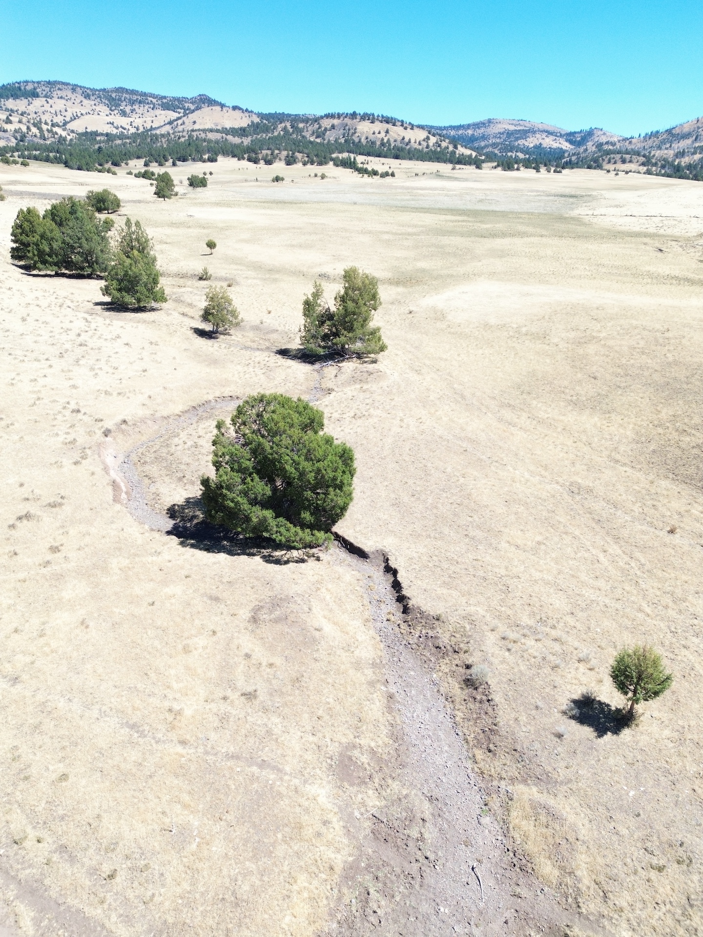 Crane Ranch