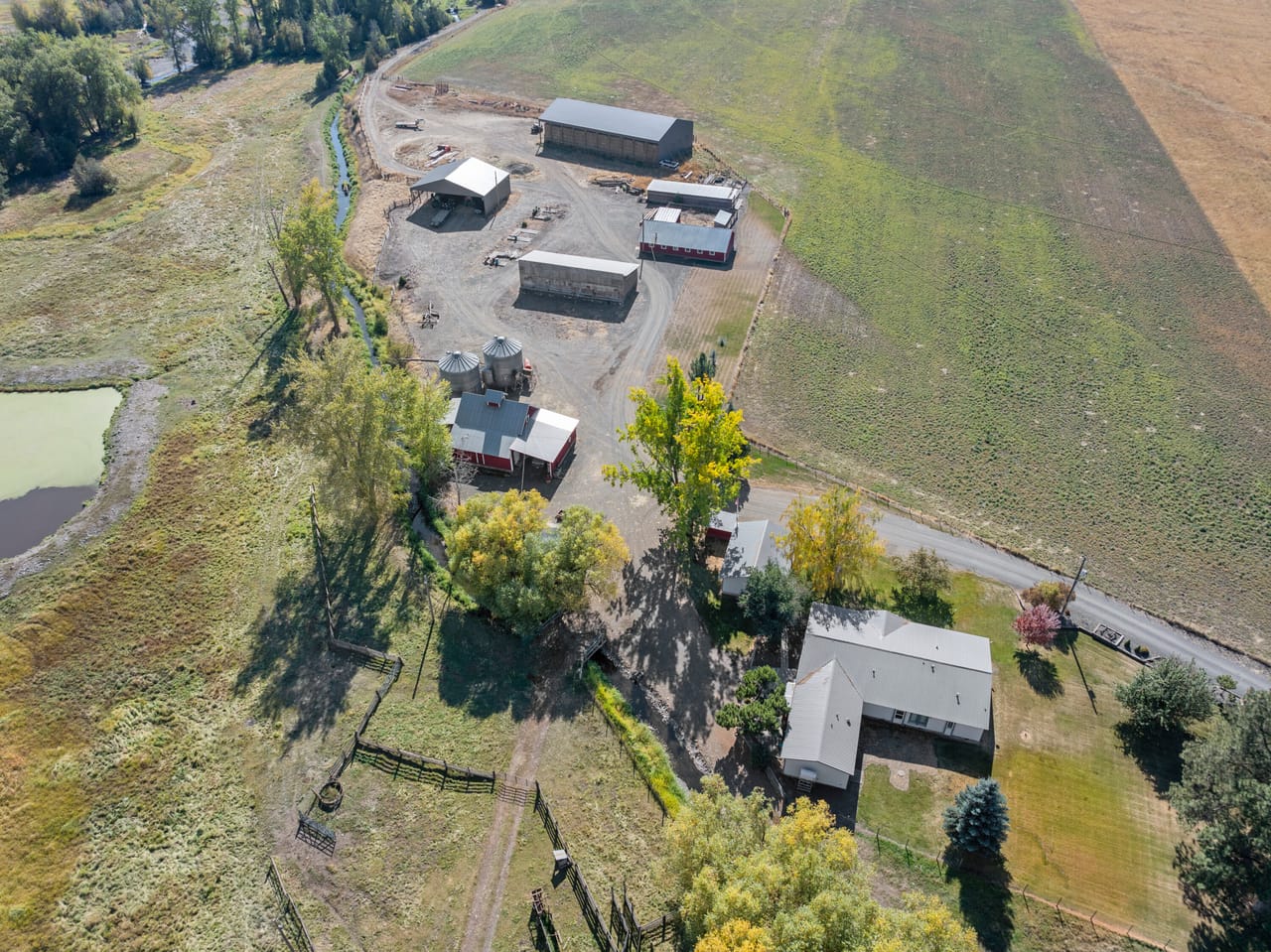 Listing Image 6