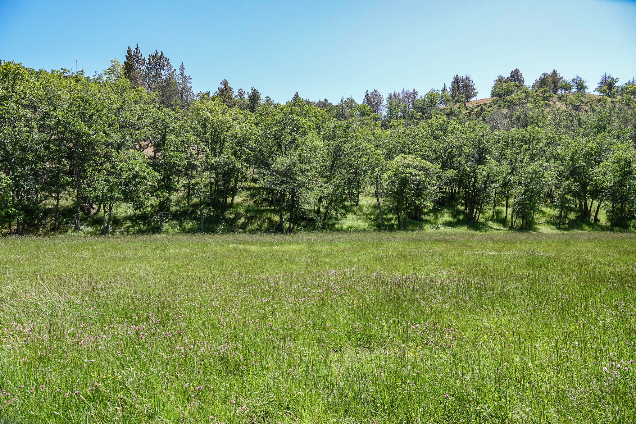 MJ Ranch