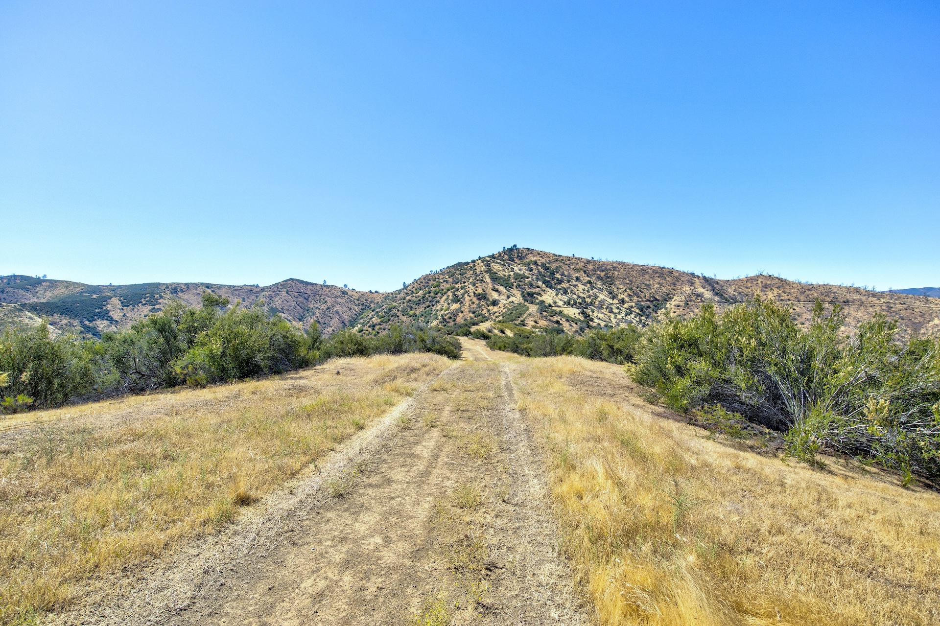 Old Iron Gate Ranch