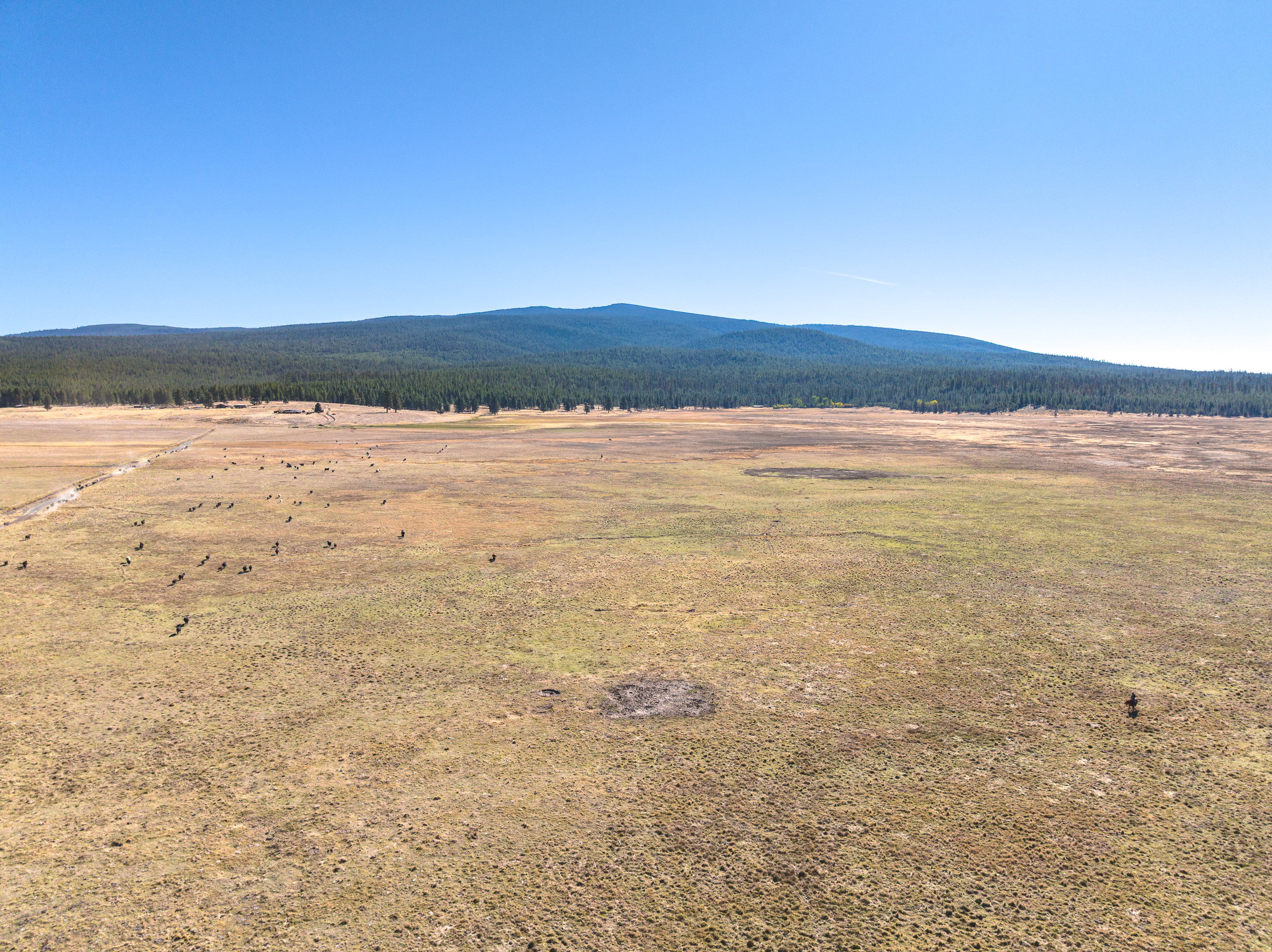 Listing Image 79