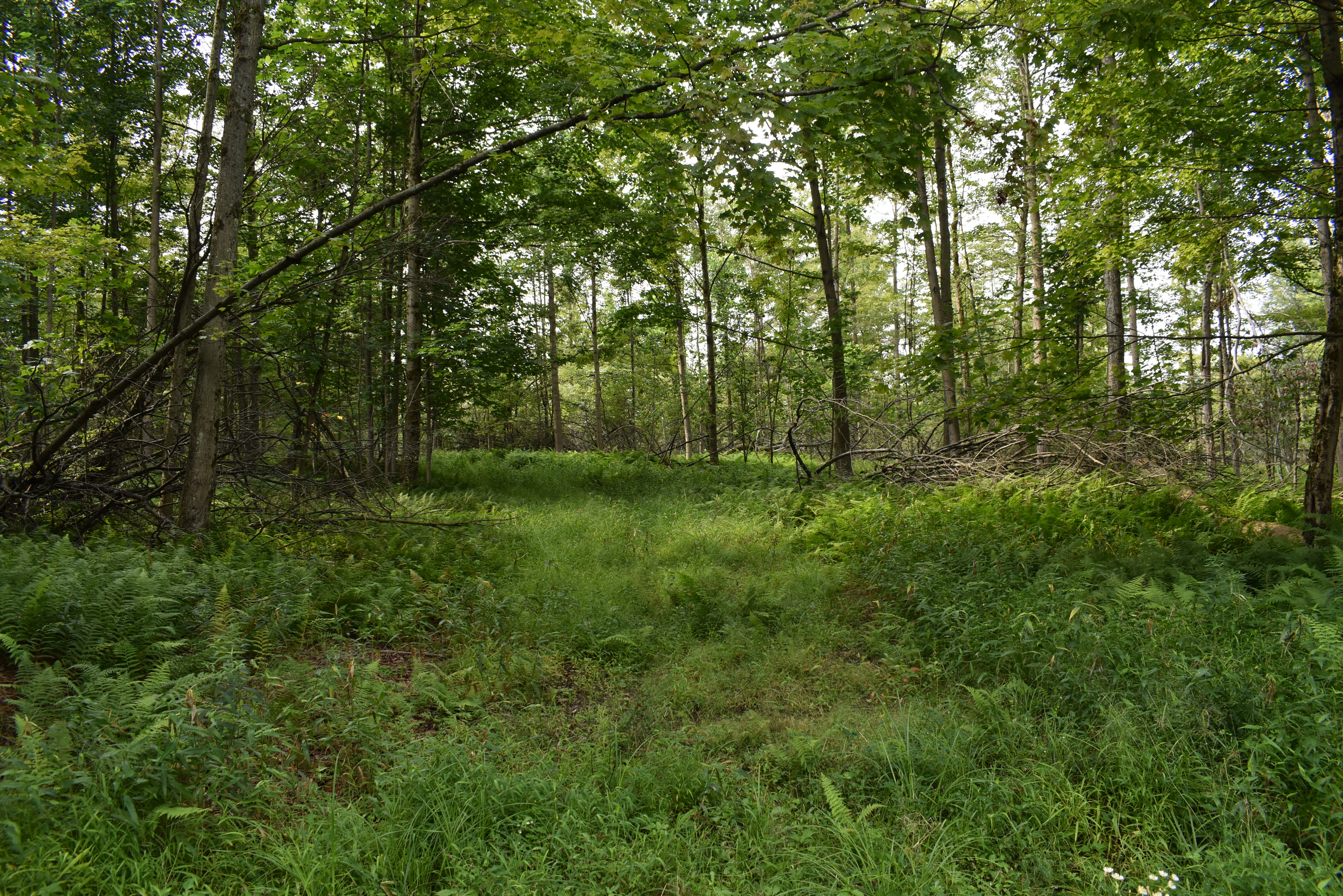 Listing Image 28