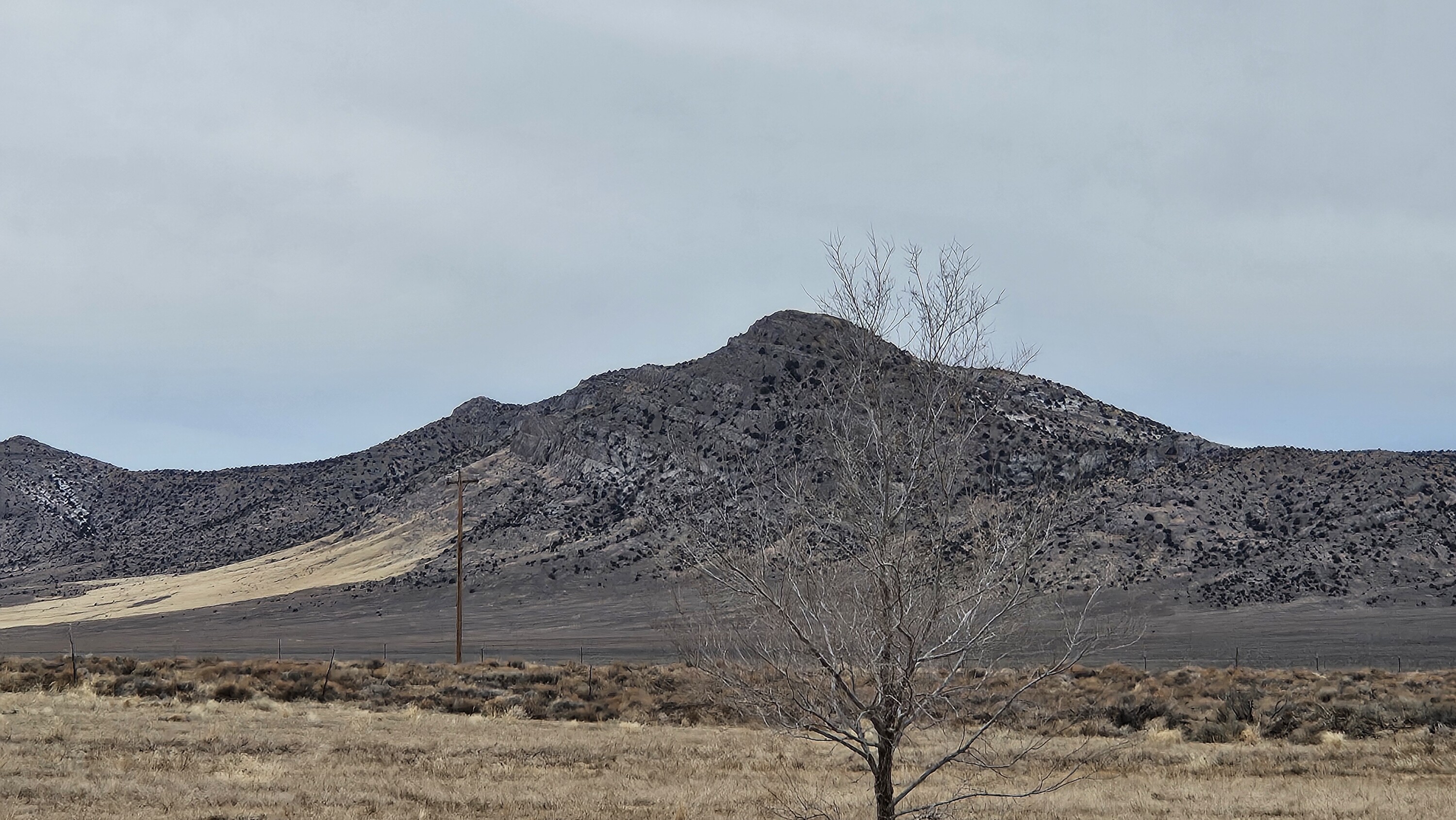 40 Acre Ranchette Homesite