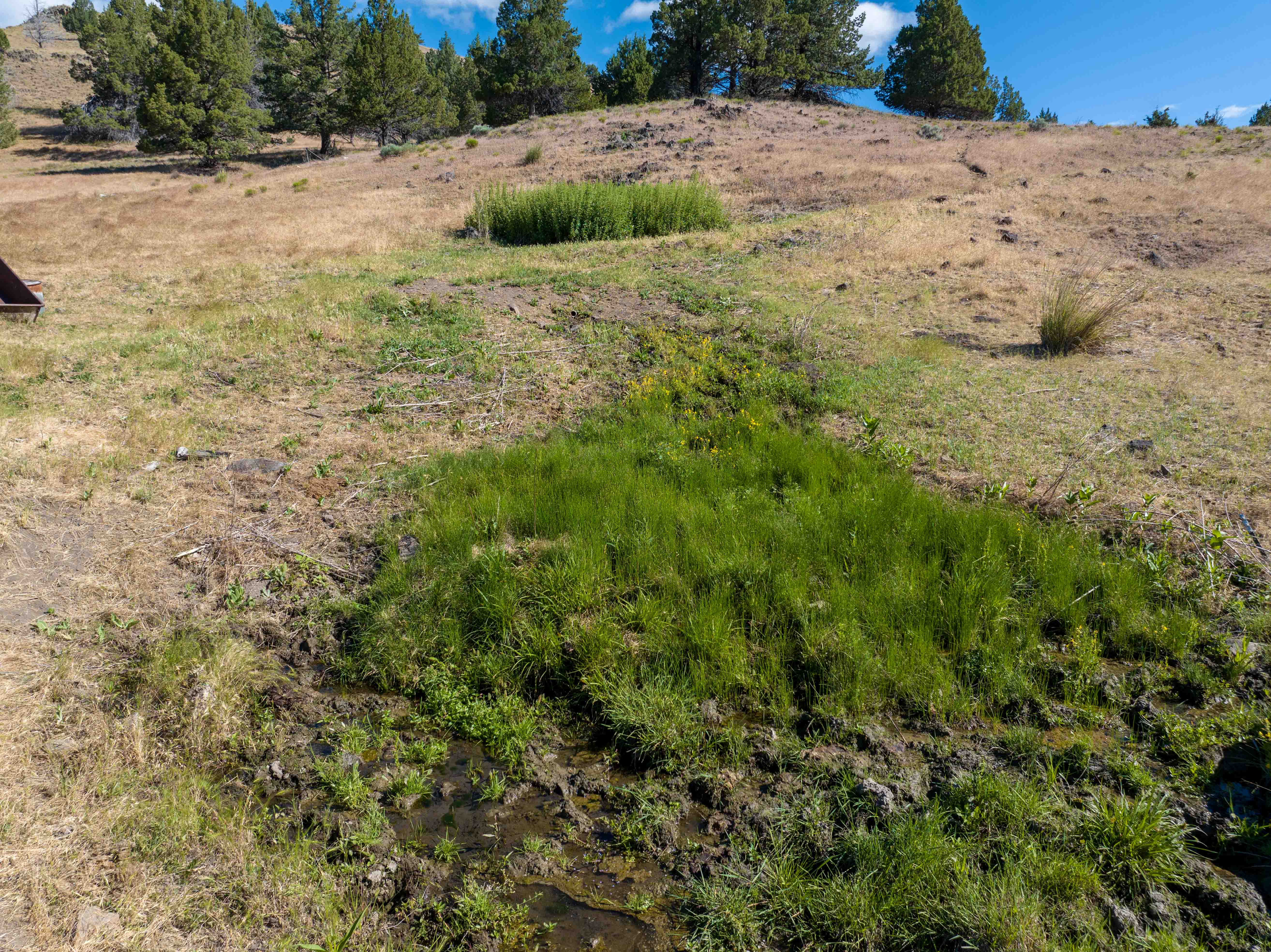 Listing Image 41