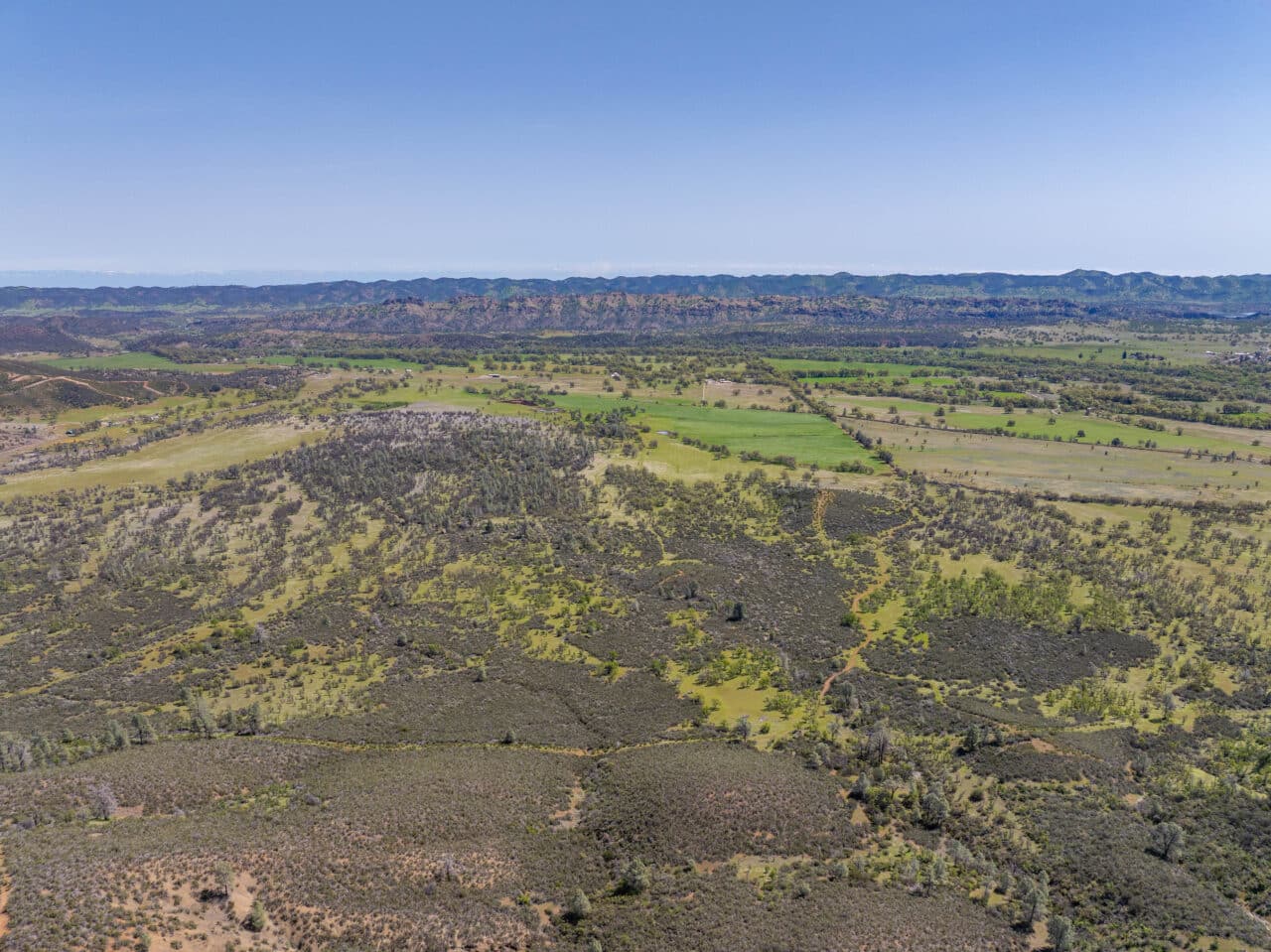 Listing Image 81