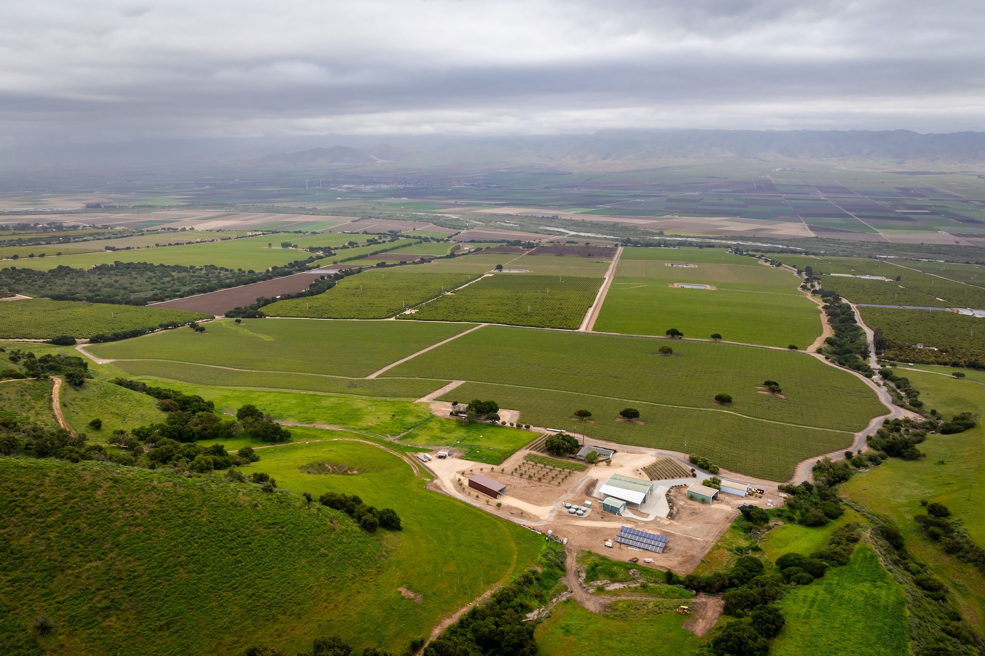 Boekenoogen Santa Lucia Highlands Vineyard