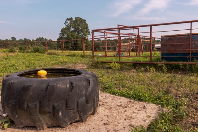 7 Pasture Farm