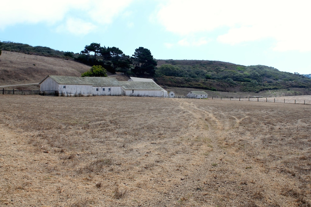 Listing Image 73