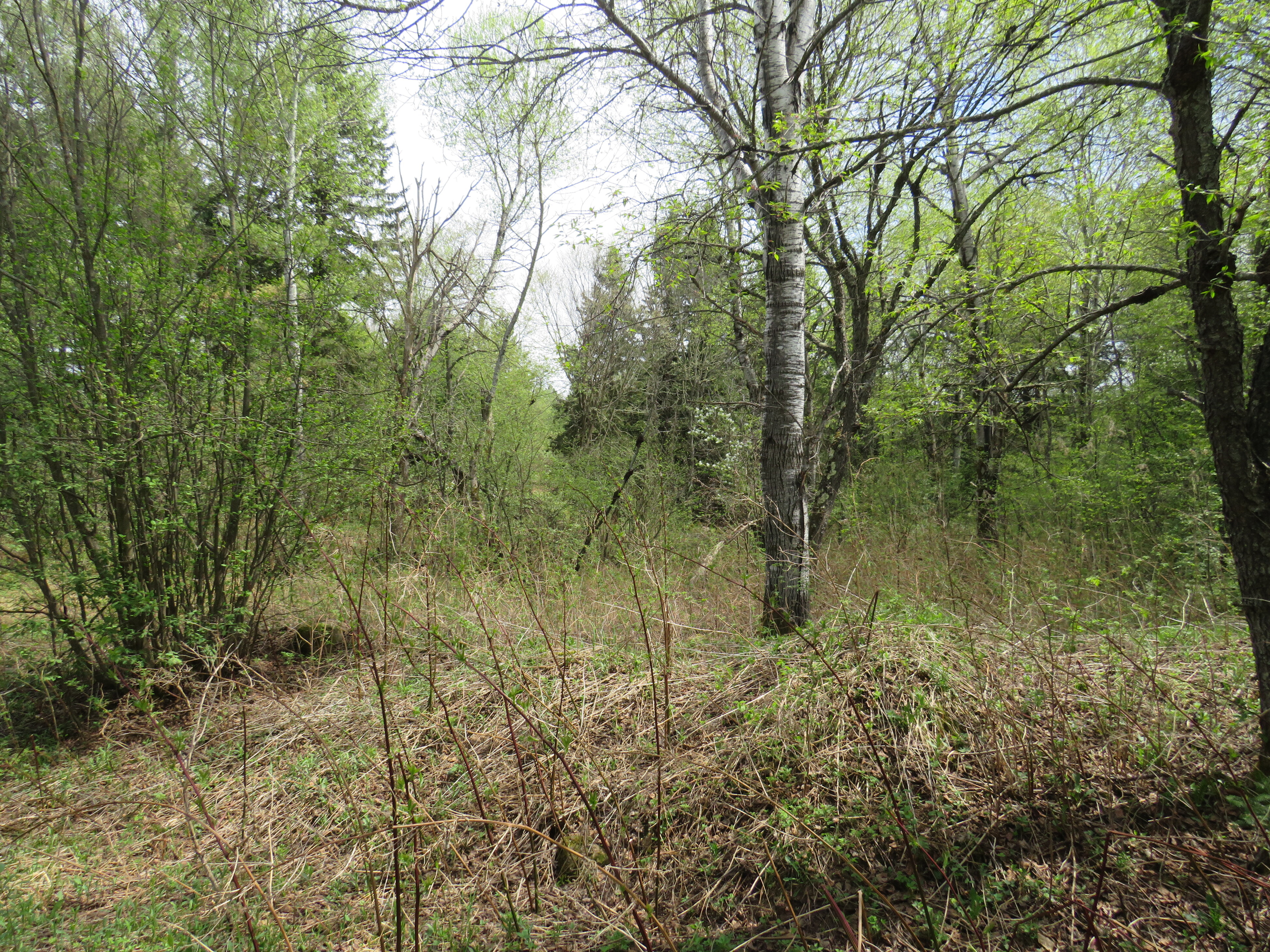 160 Acre Wilderness Retreat 50175391