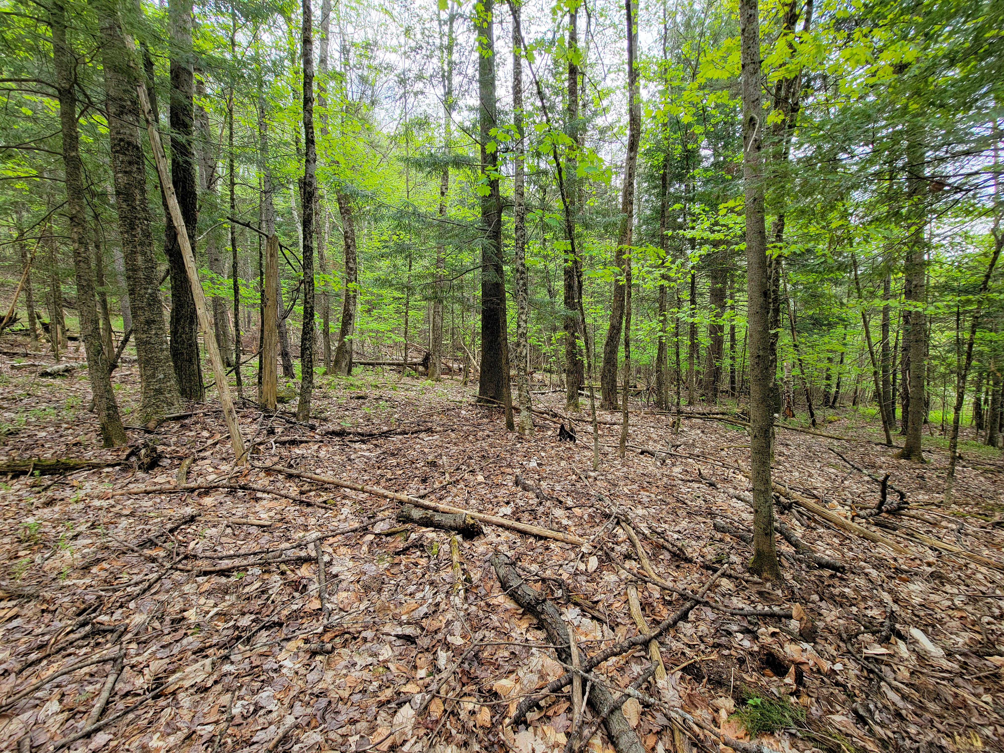 Listing Image 41
